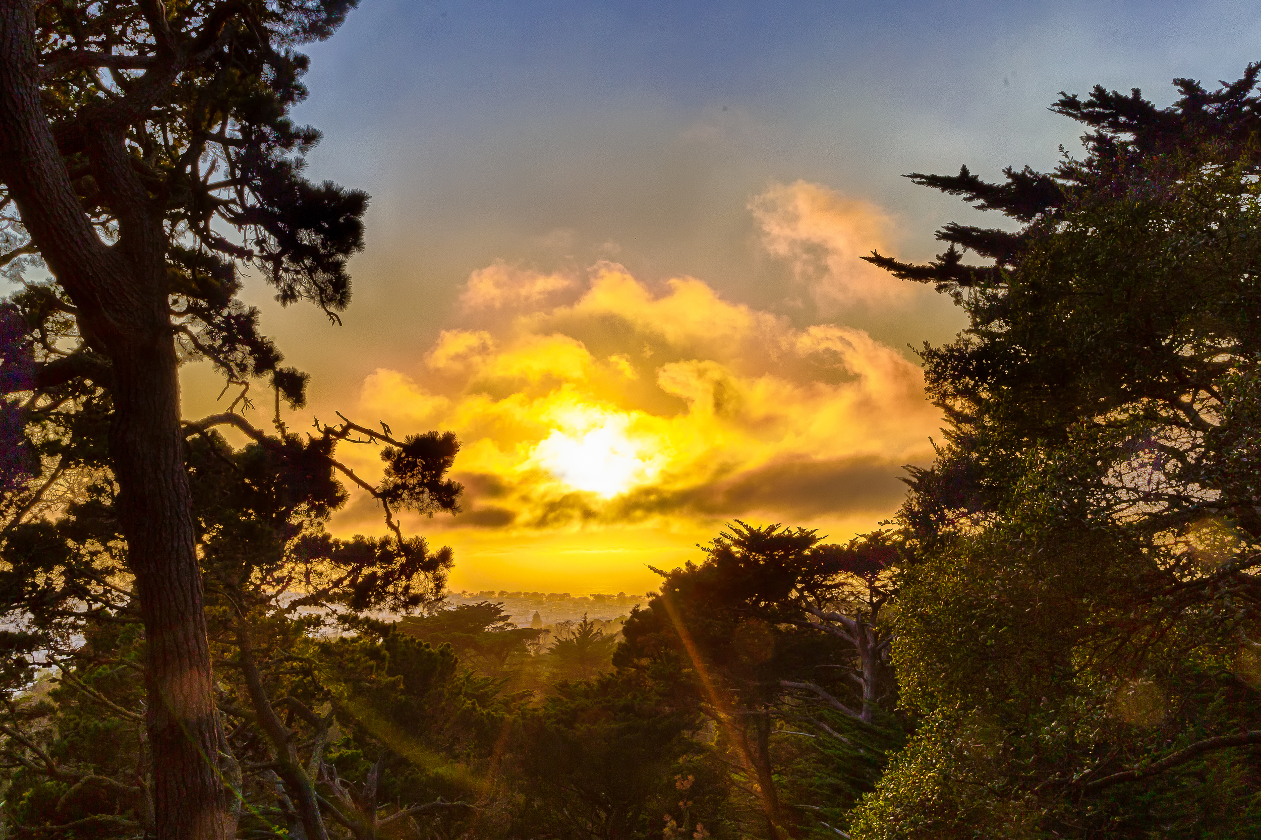 sunset over stow lake-1.jpg