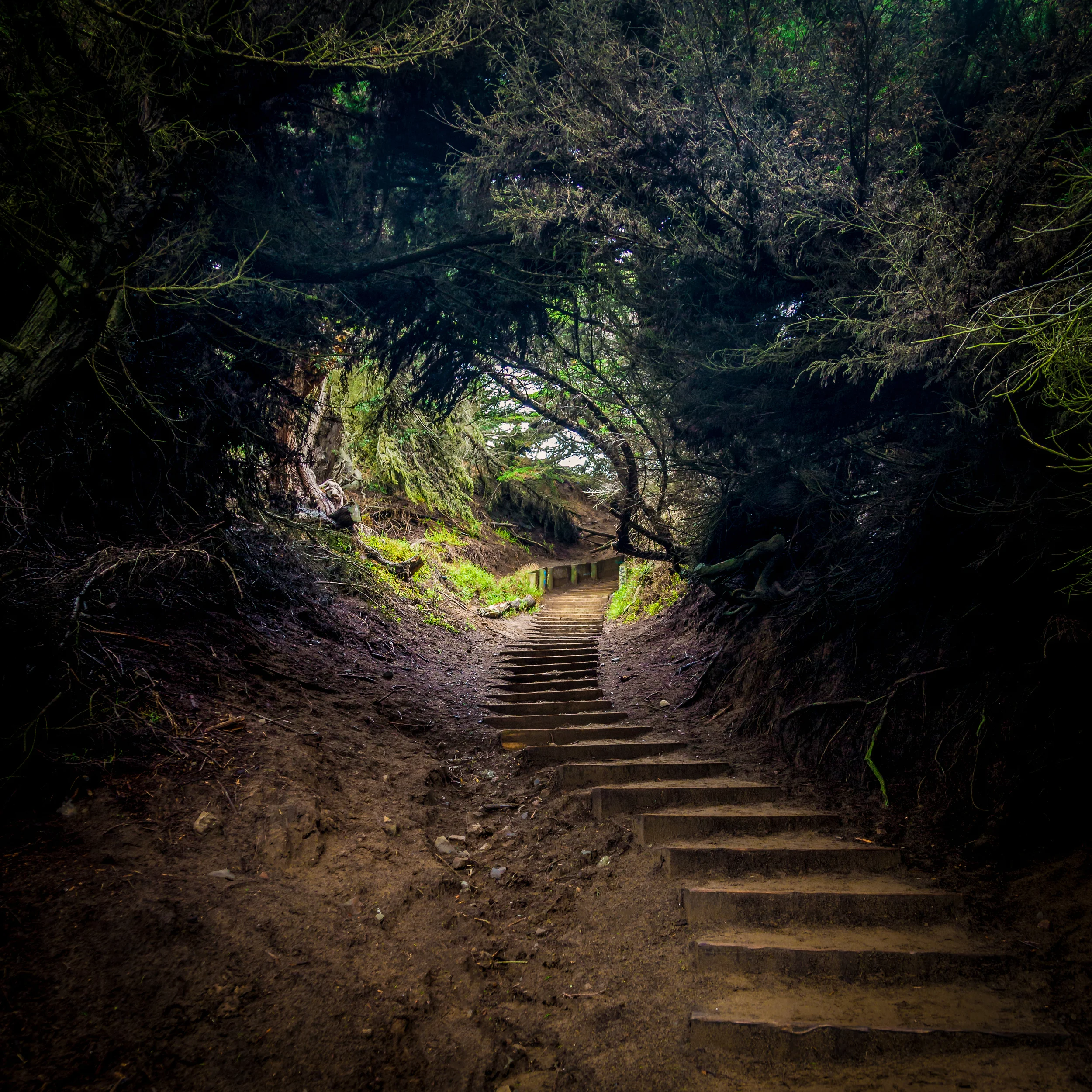 tbt hike-1 (1).jpg