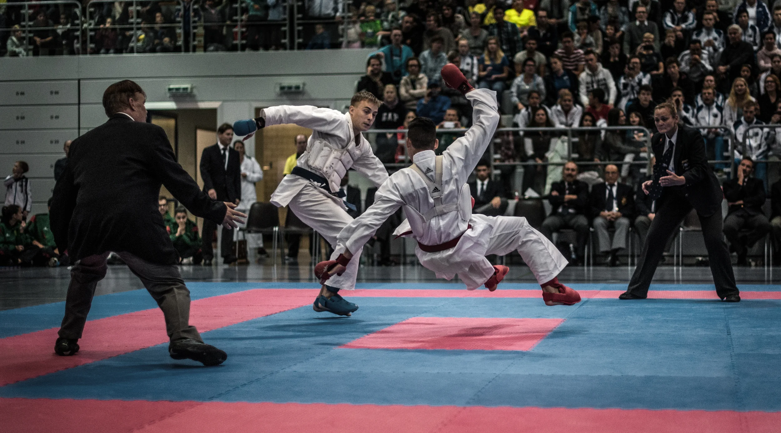 Karate Fight, Lucerne 2015