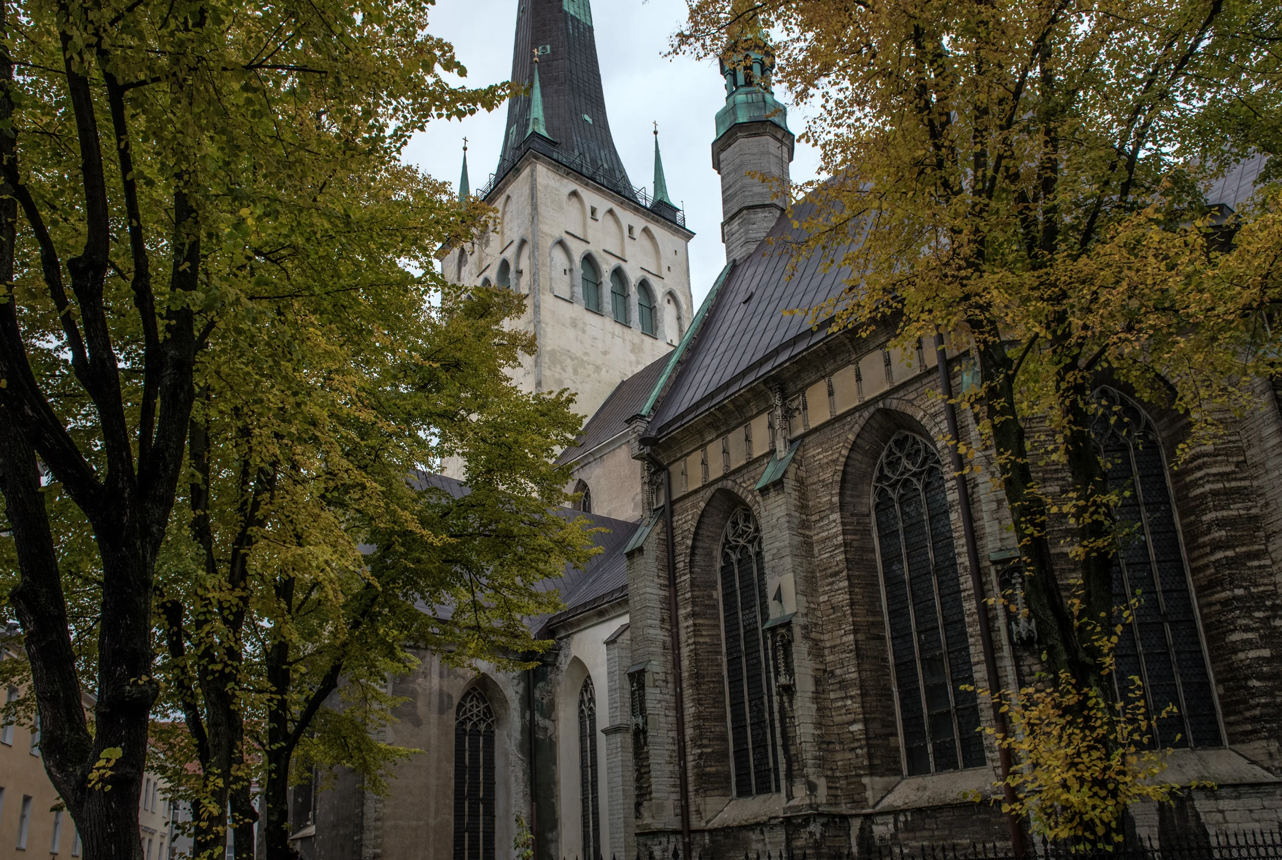 EM17_111017_0246.jpg