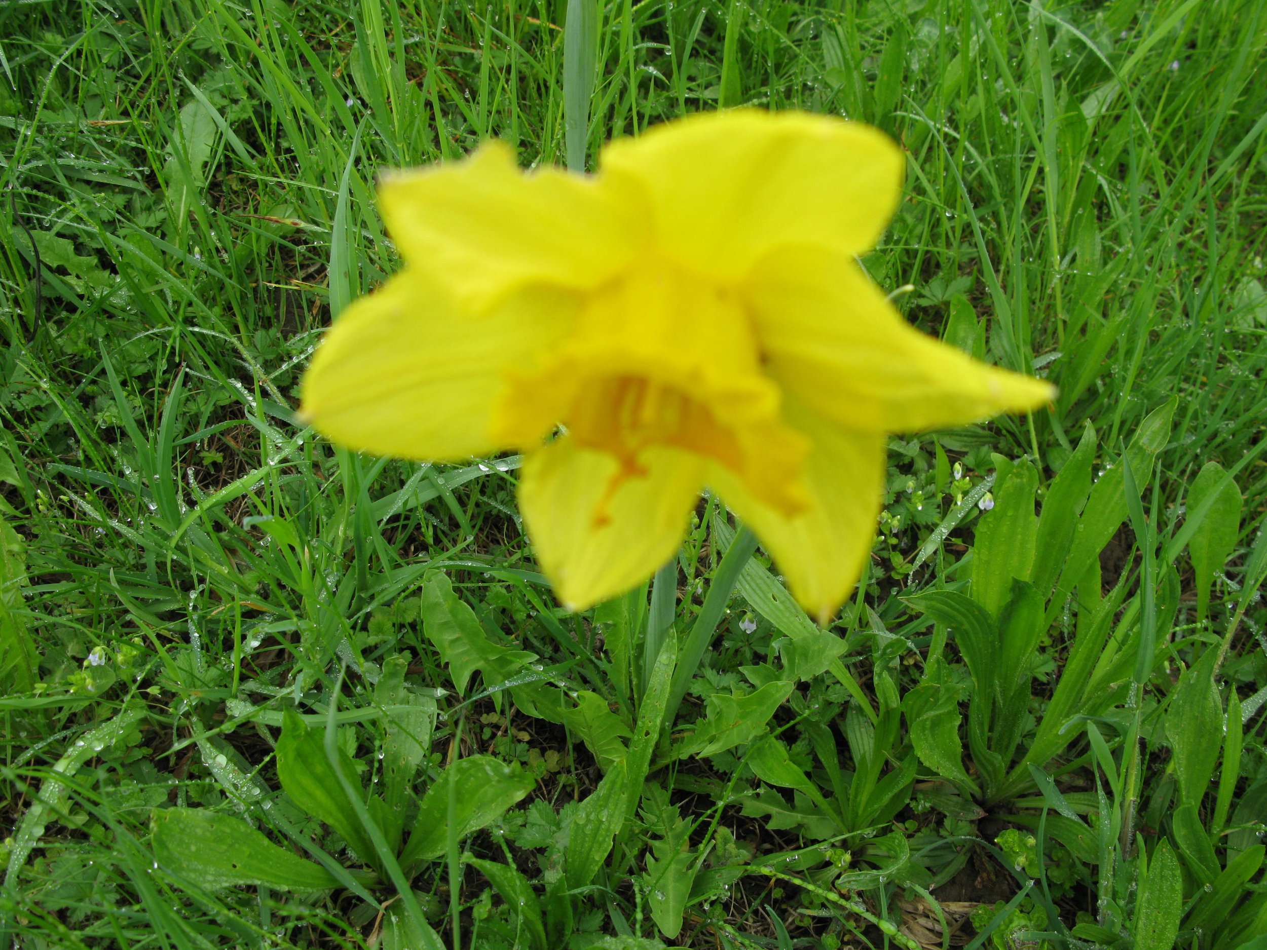 IMG_1814.JPG