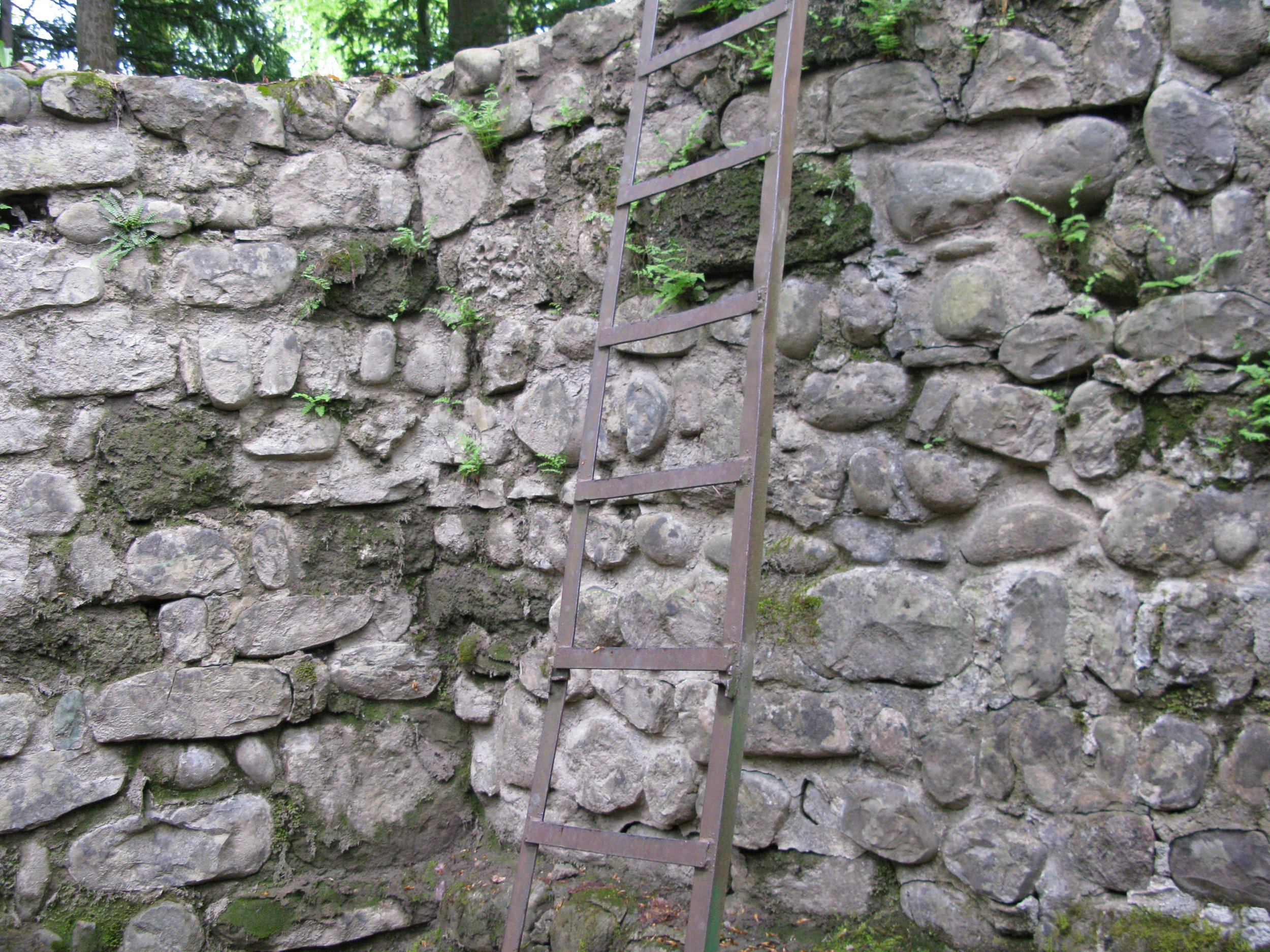 IMG_1848.JPG