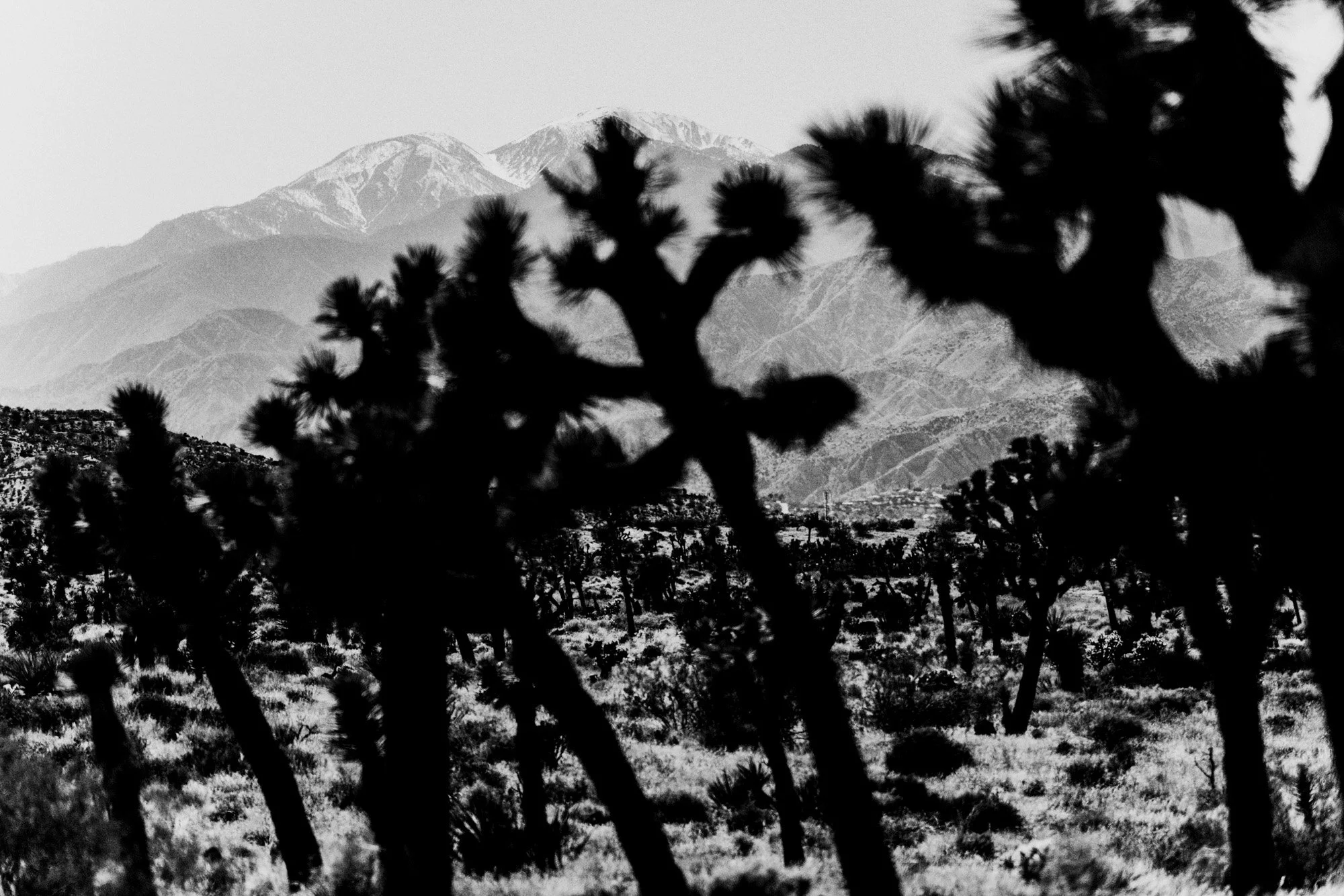 STRAND_SITKA_MYSTERY RANCH COLLAB_2024 (14).jpg