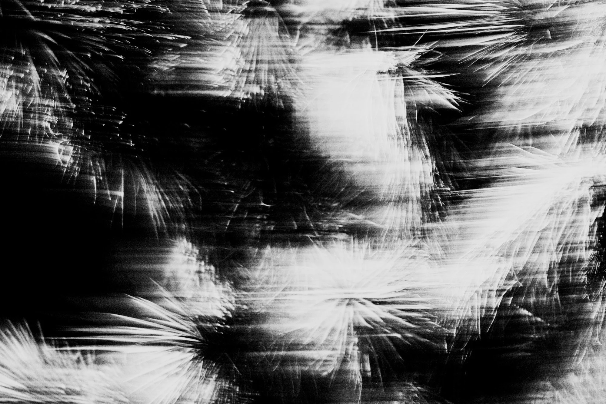 STRAND_SITKA_MYSTERY RANCH COLLAB_2024 (19).jpg