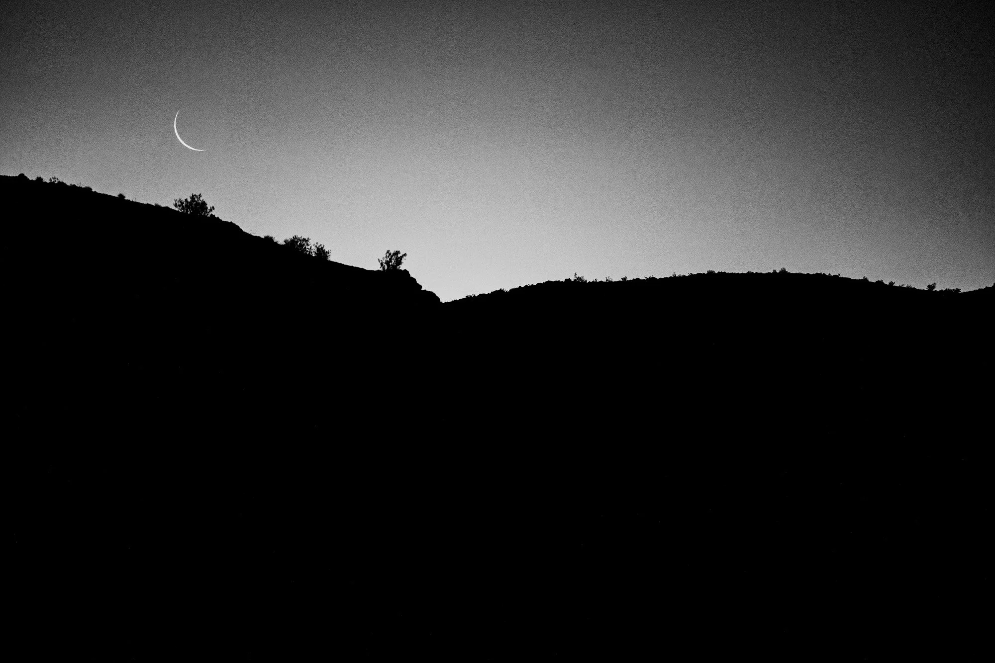 STRAND_SITKA_MYSTERY RANCH COLLAB_2024 (40).jpg