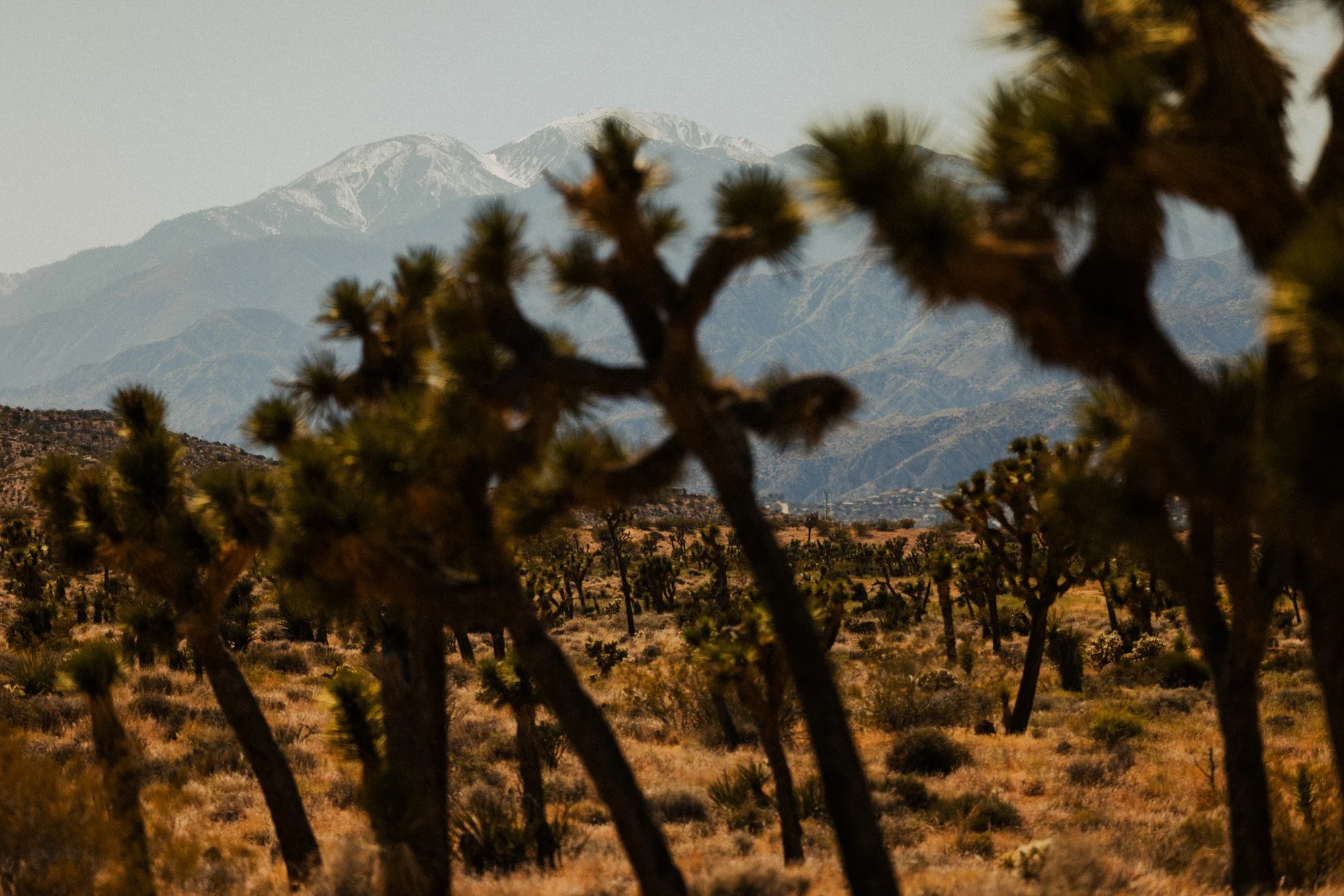 STRAND_SITKA_MYSTERY RANCH COLLAB_2024 (158).jpg