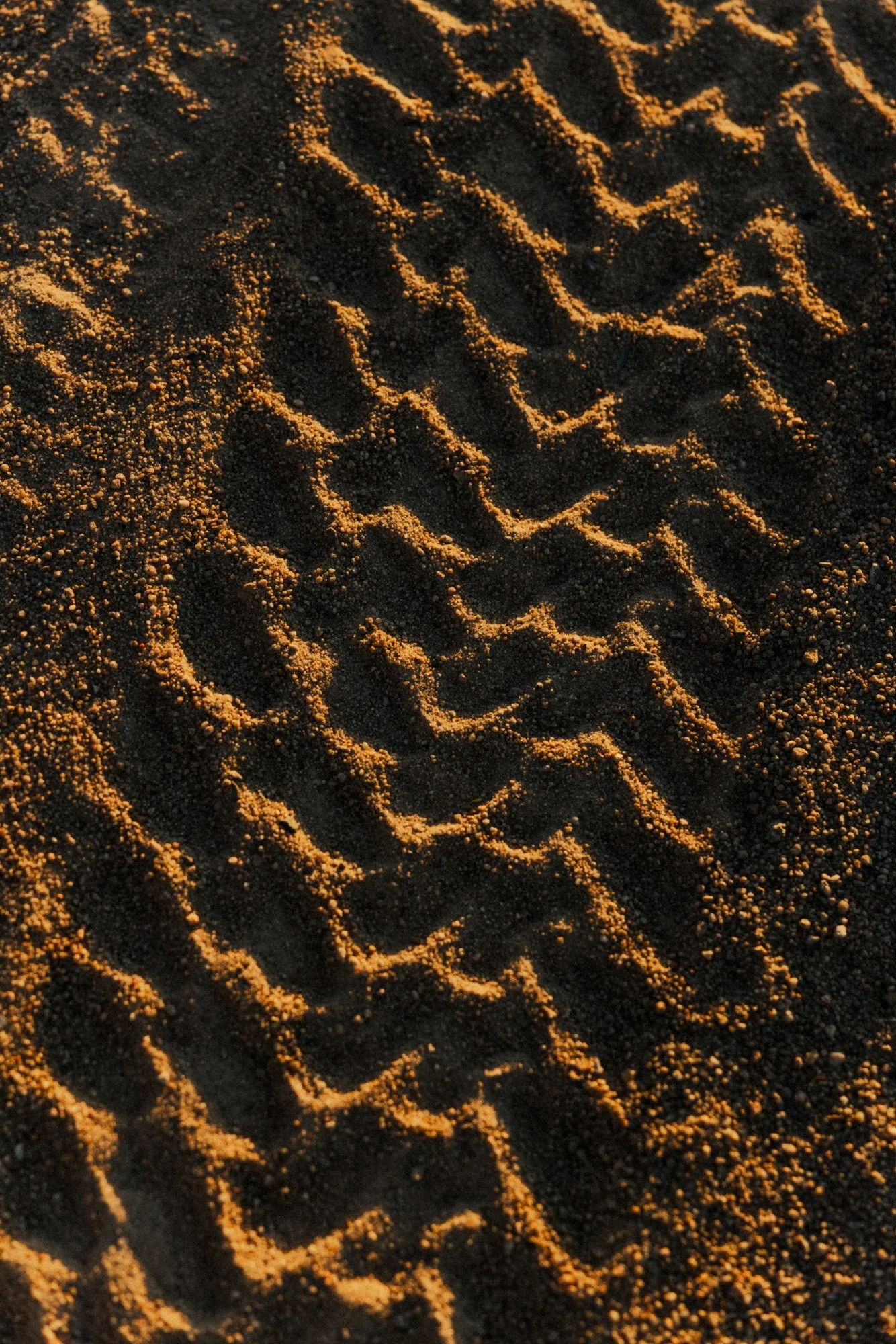 STRAND_SITKA_MYSTERY RANCH COLLAB_2024 (186).jpg