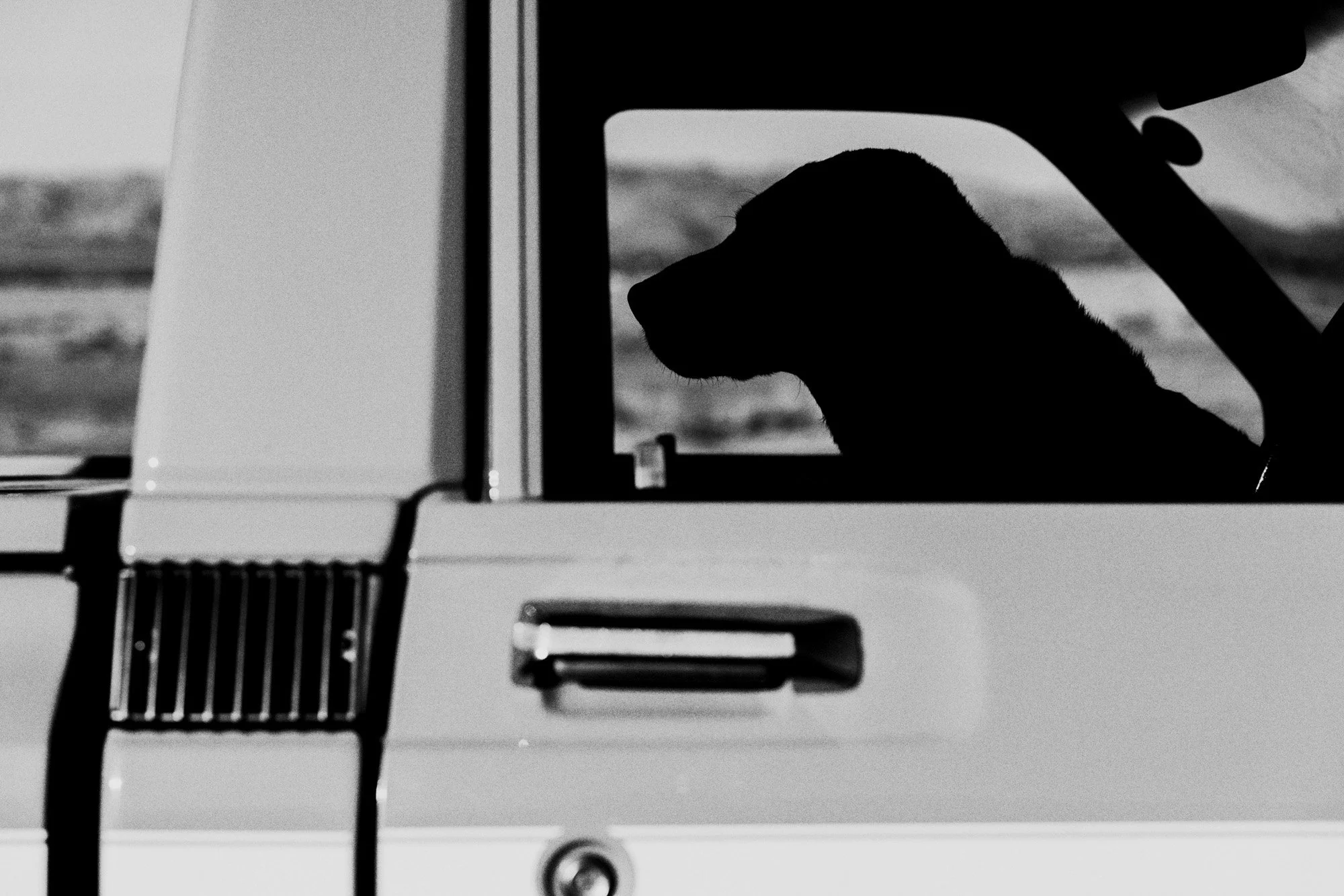 STRAND_SITKA_MYSTERY RANCH COLLAB_2024 (259).jpg