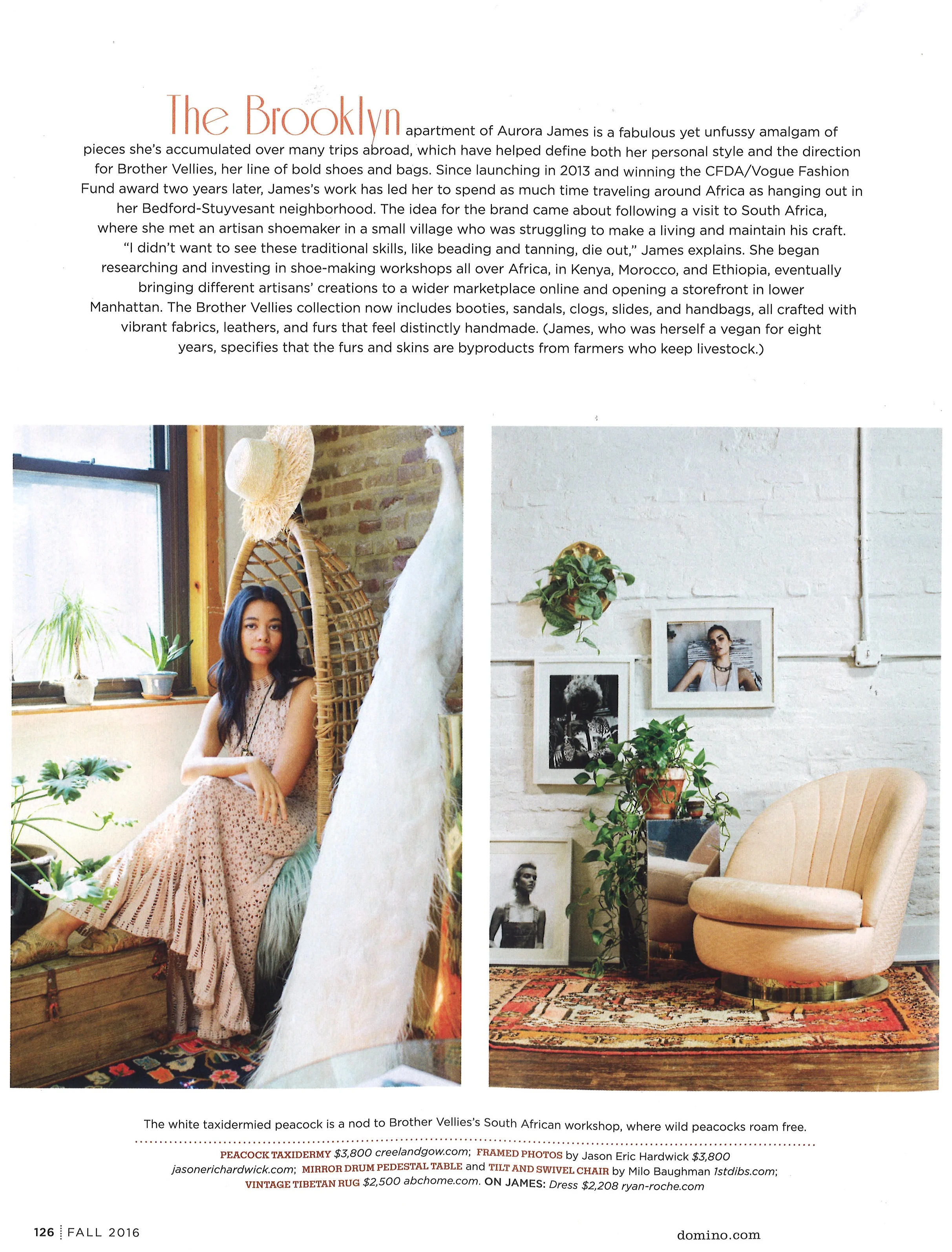 Domino Magazine