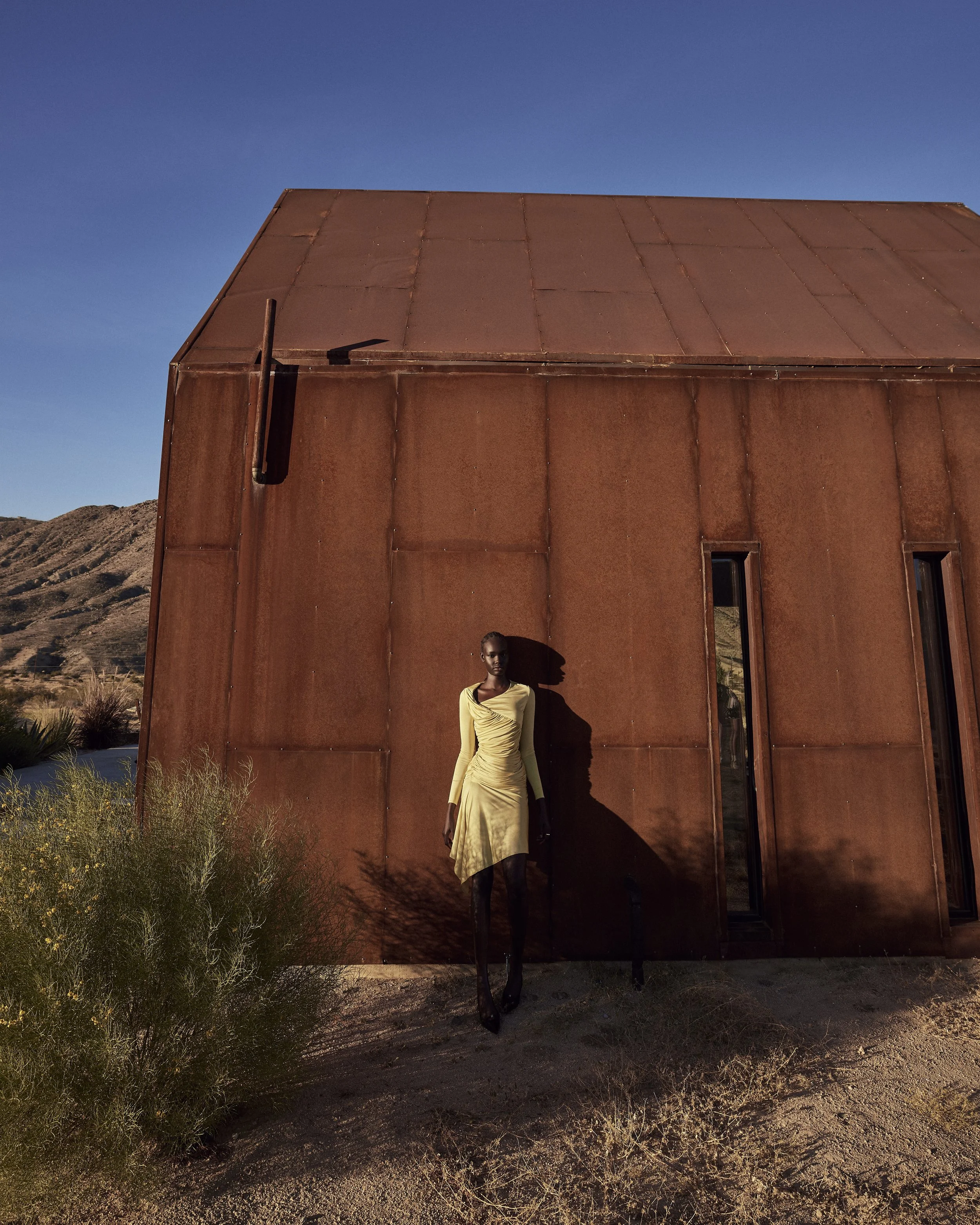 HARPERS JOSHUA TREE12084.jpeg