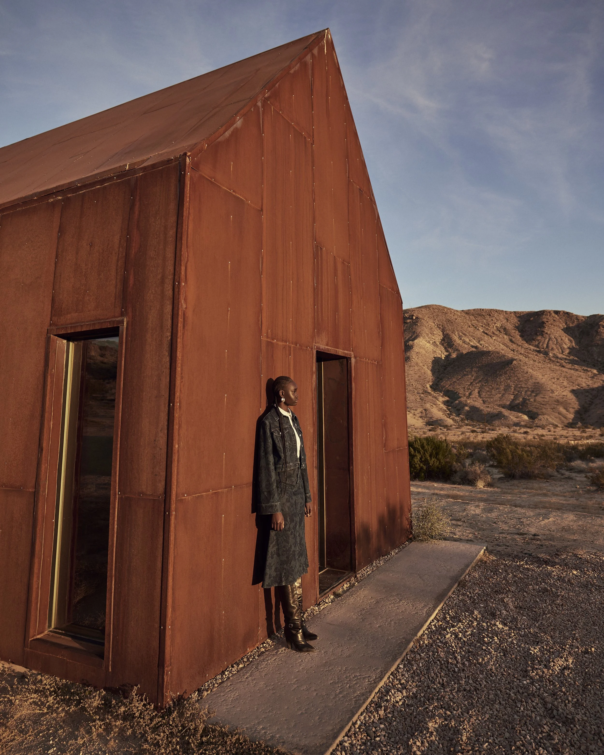 HARPERS JOSHUA TREE12557.jpeg