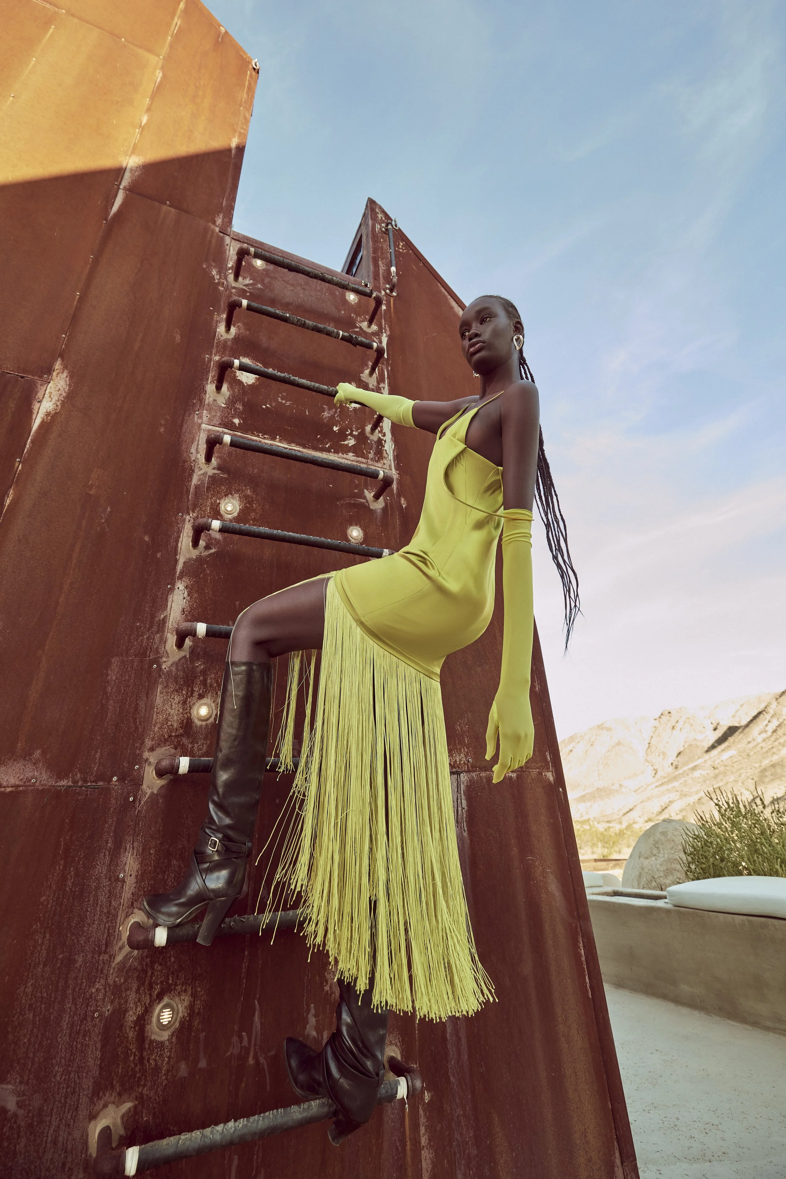 HARPERS JOSHUA TREE12648.jpeg