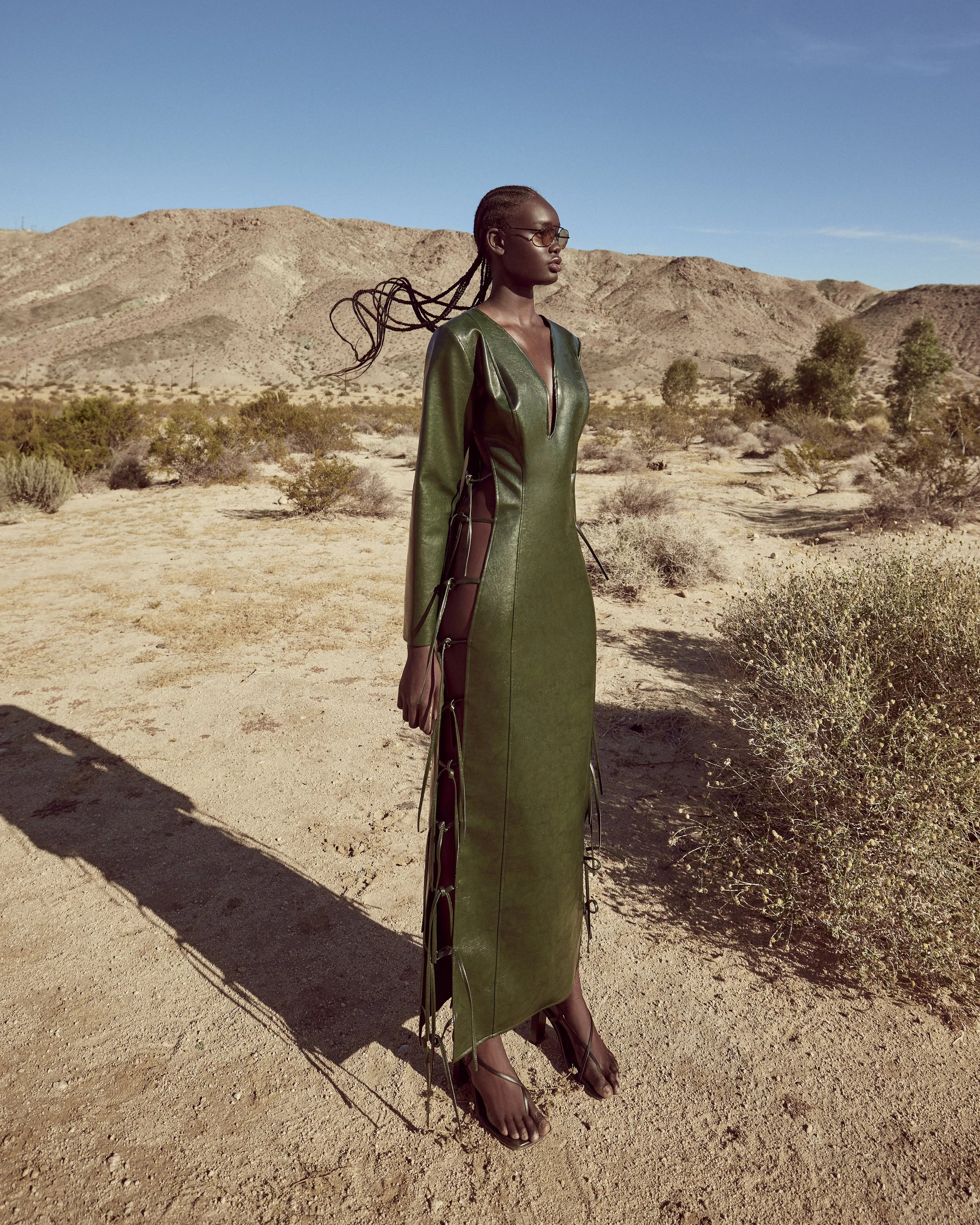 HARPERS JOSHUA TREE12927.jpeg