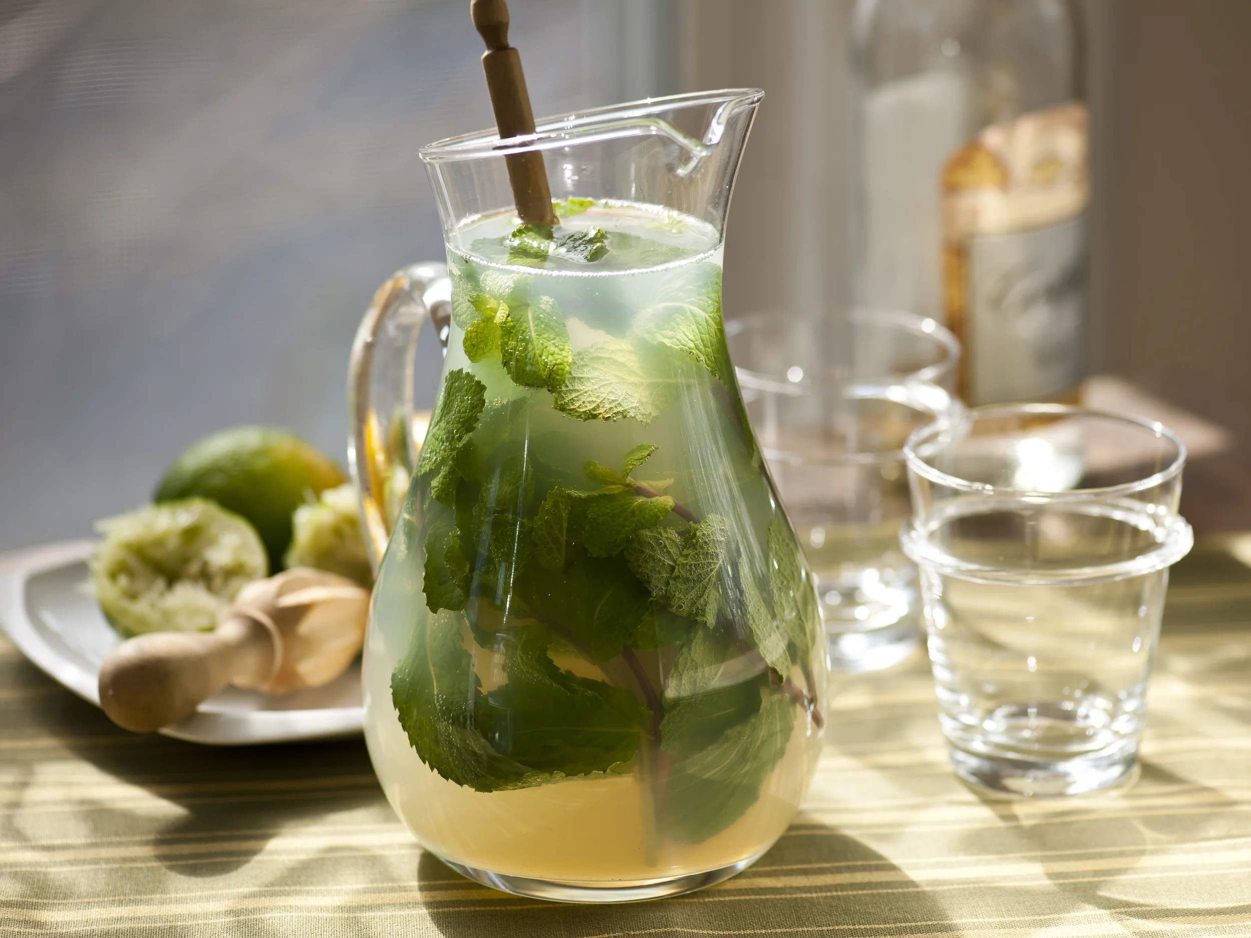 Pitcher of Mojitos