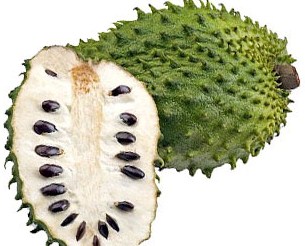 Guanabana or Soursop is grown in tropical regions including South America and Northern Africa. 