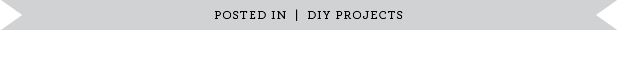 POSTED_IN_DIY_PROJECTS.jpg