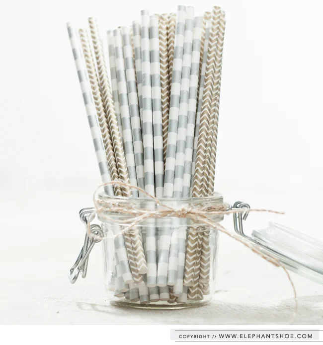 Paper Straws from the Elephantshoe Shoppe | Photo By : Blackframe Photography