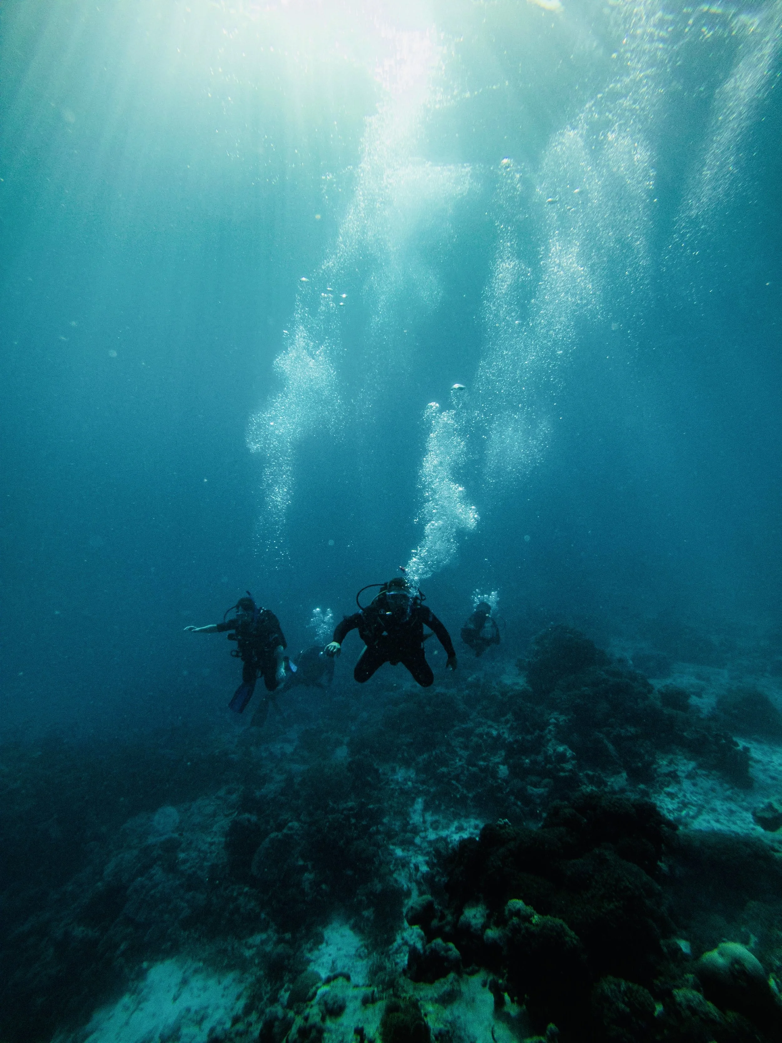 The Maldives, 2015