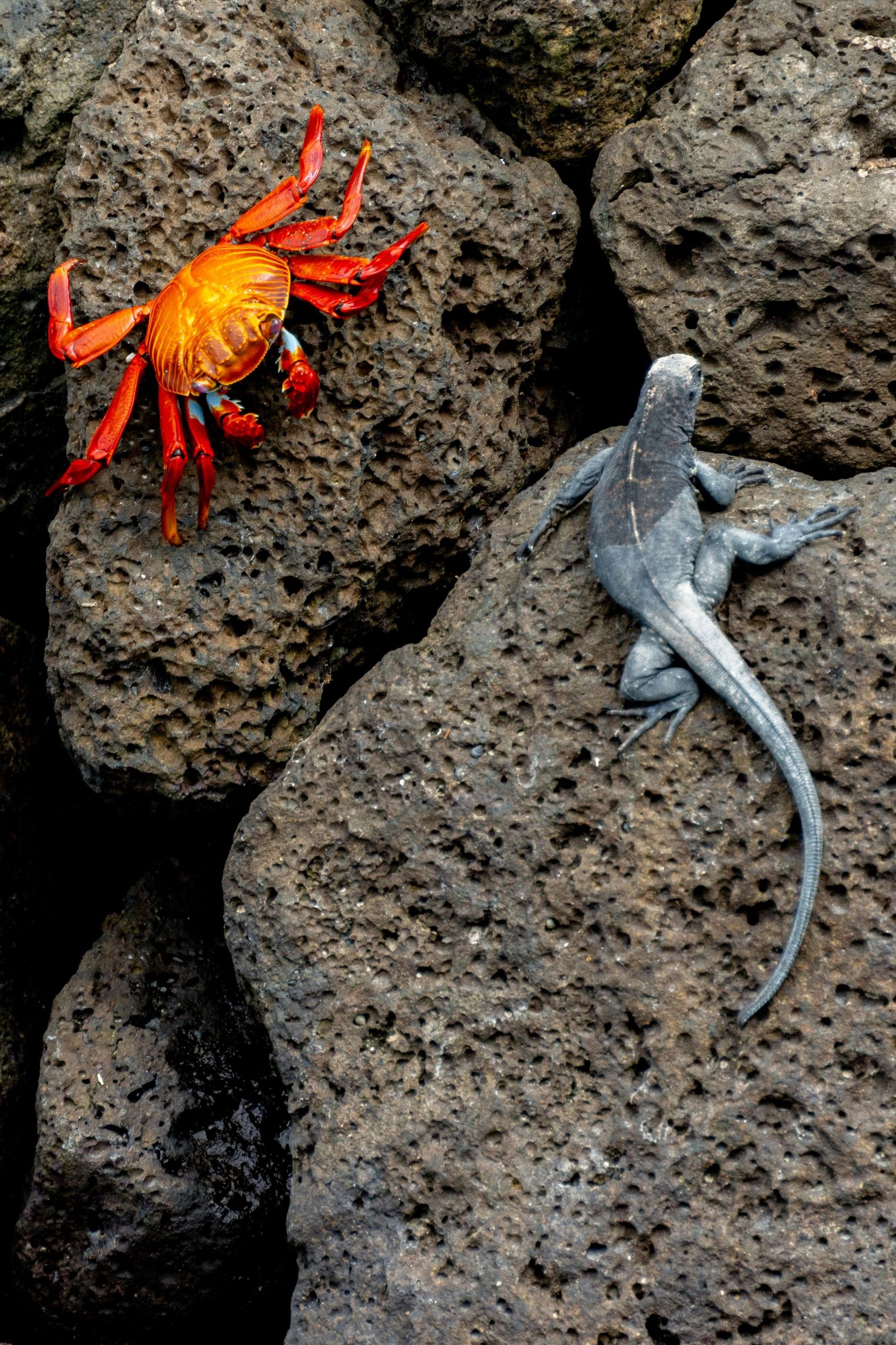 Galápagos Islands, Ecuador, 2023