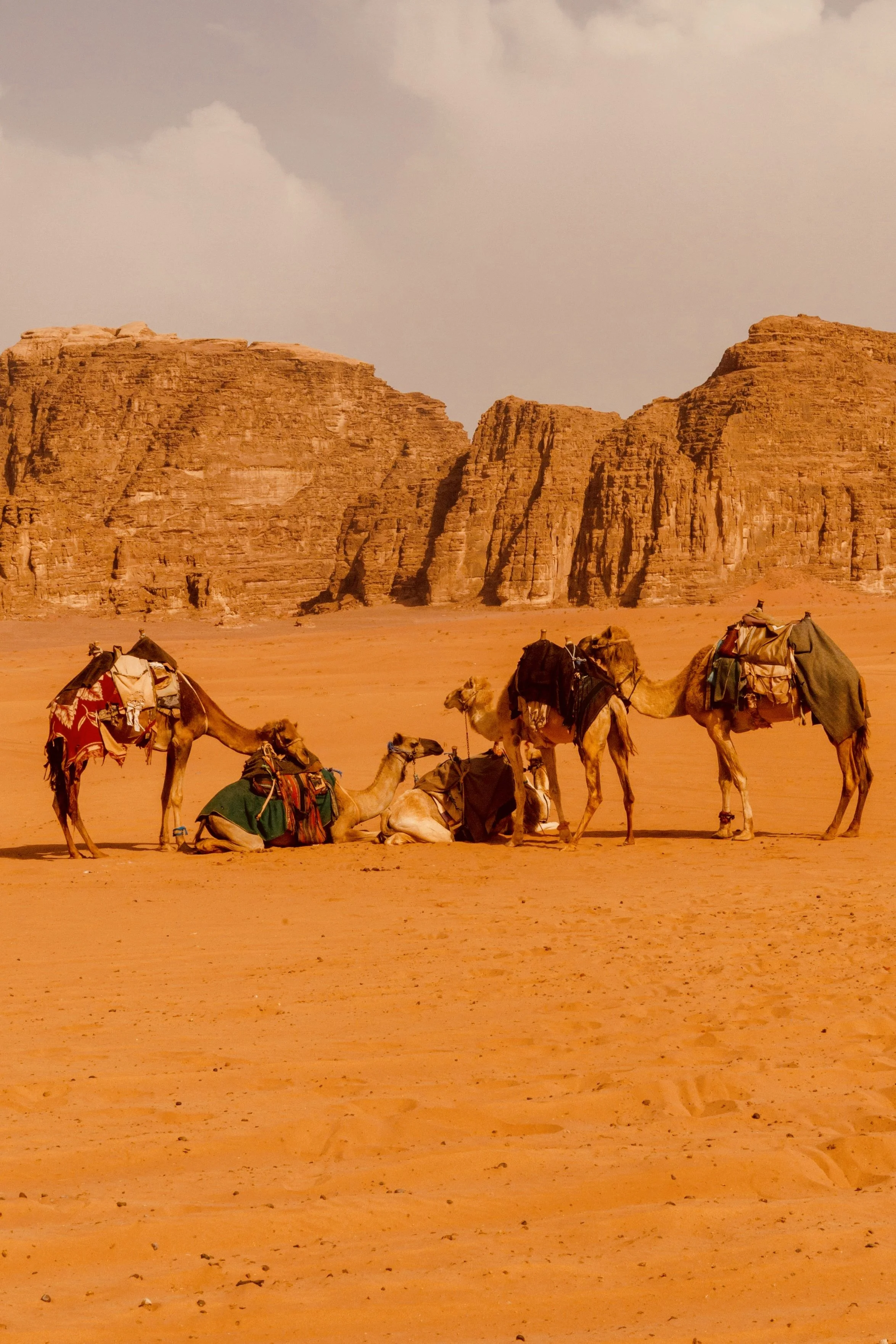 Petra &amp; Wadi Rum, Jordan, 2024