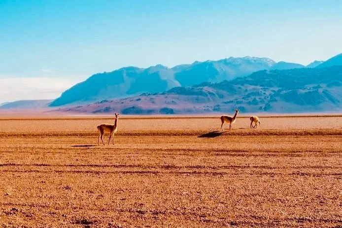 Patagonia, Chile, 2014