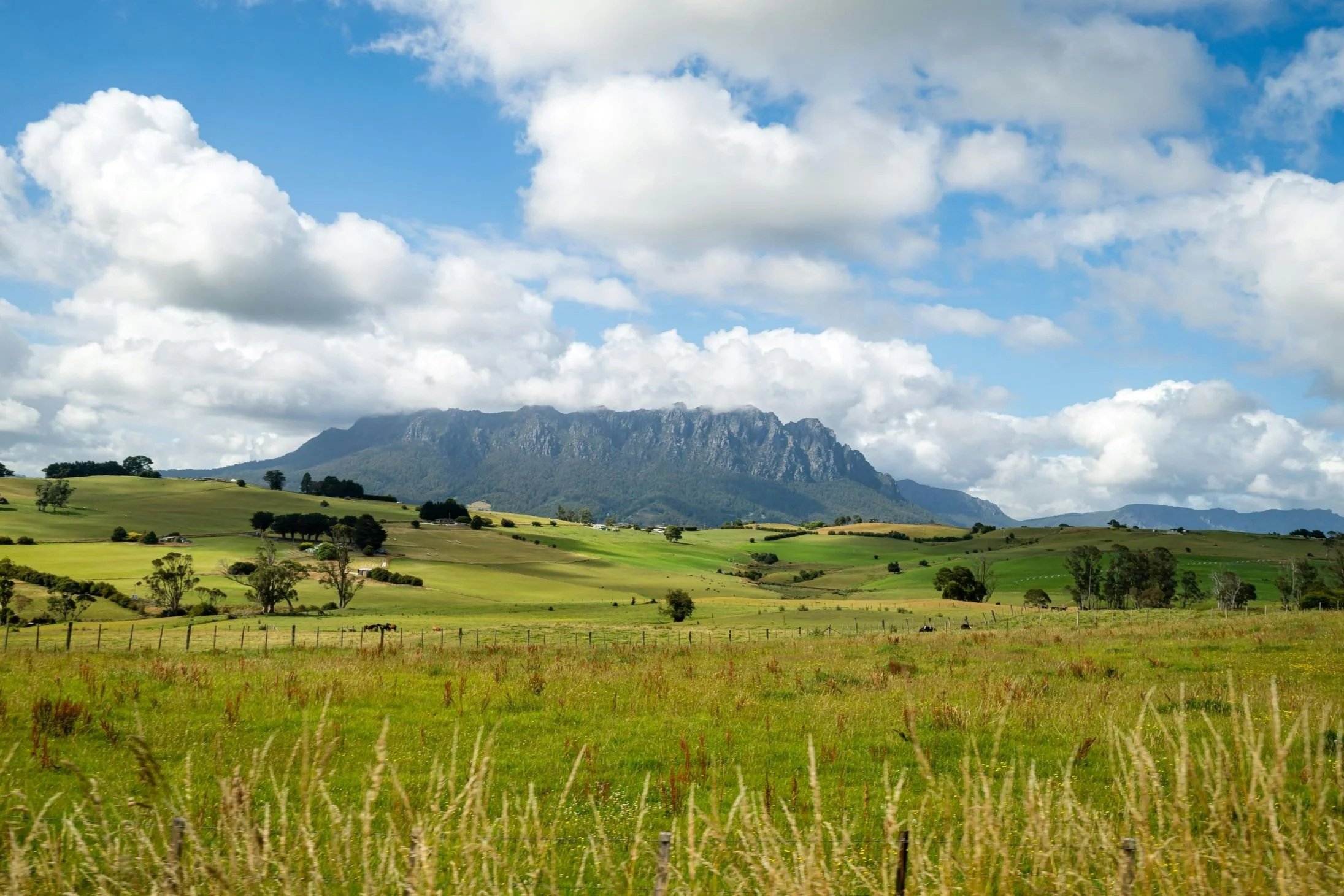 Tasmania, Australia, 2014