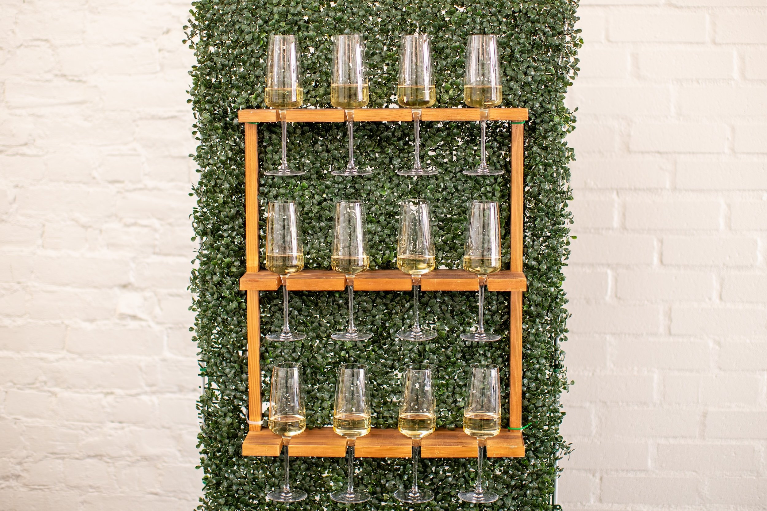 Glasses in front of wall greenery.jpg