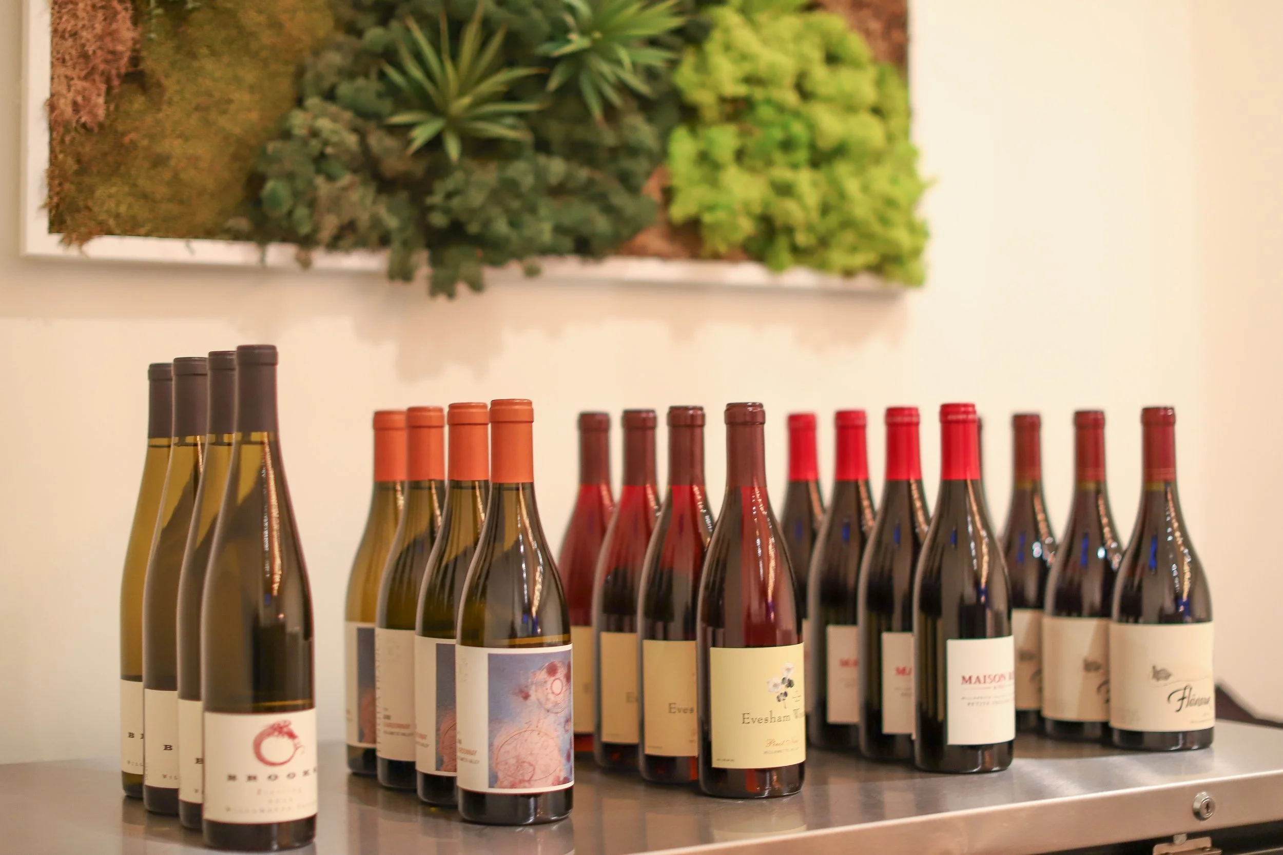 Behind the Bar | VALPOLICELLA — ACCORDINI STEFANO WINEMAKER EDITION