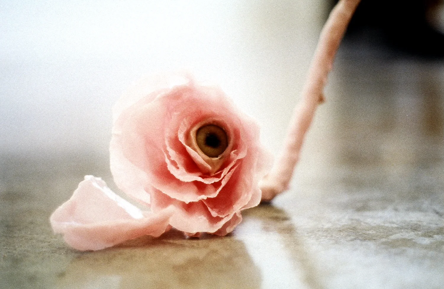   What Remains&nbsp; &nbsp;  Sculpture detail &nbsp; &nbsp; &nbsp; &nbsp; 2006  Paper, wax, piping, glass. 