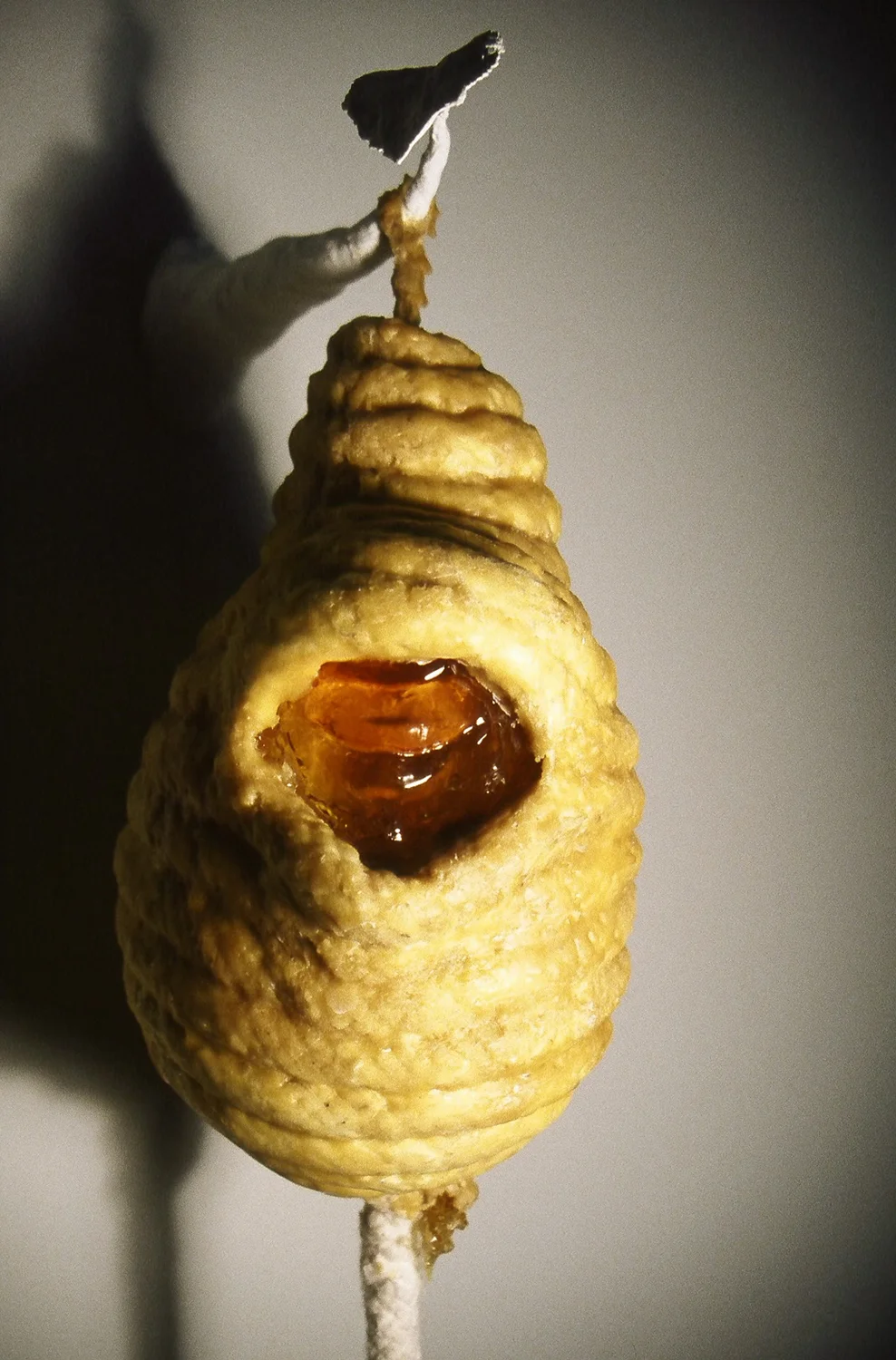   Home   Sculpture &nbsp; &nbsp; &nbsp; &nbsp; &nbsp;2006  Beeswax, honey, hard candy, piping. 