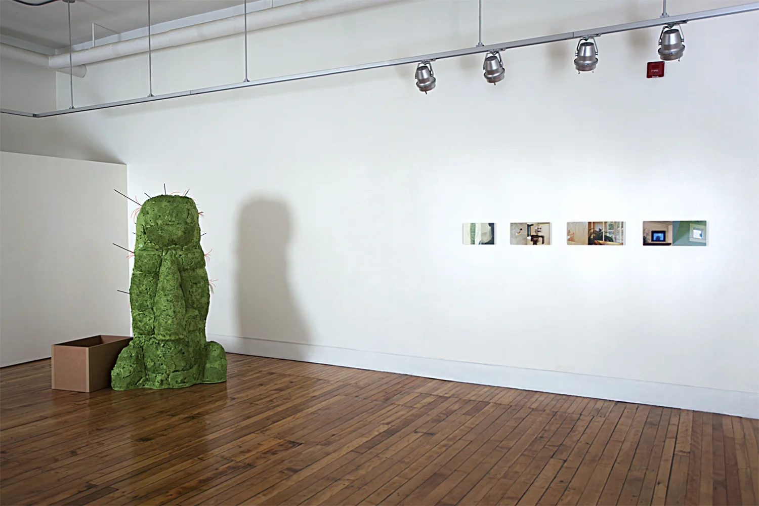 These Things Are Tired Installation View 2013