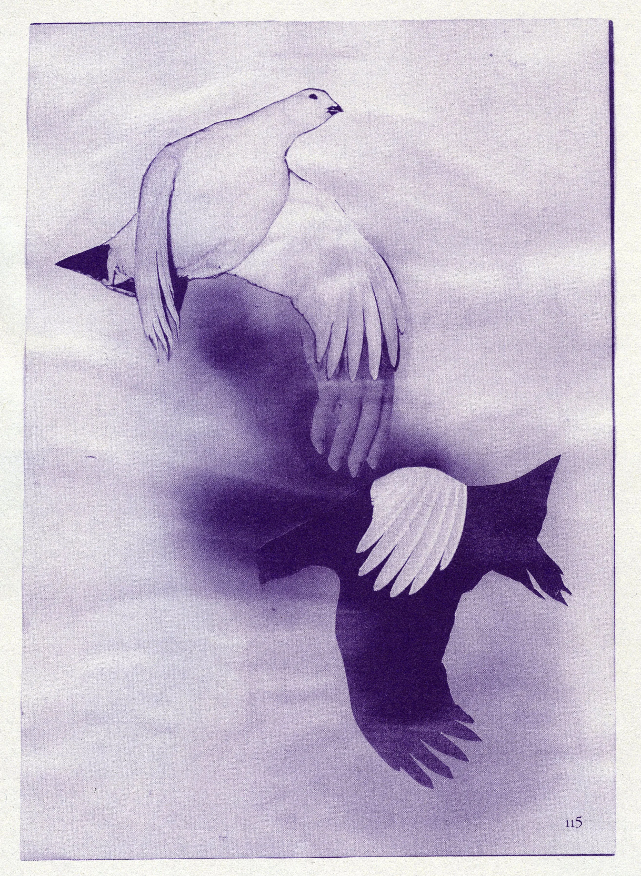 Bird In Hand by Erin Perry The Church Issue , 2011 Design by Lauren Mackler Published by Lauren Mackler / Public Fiction 