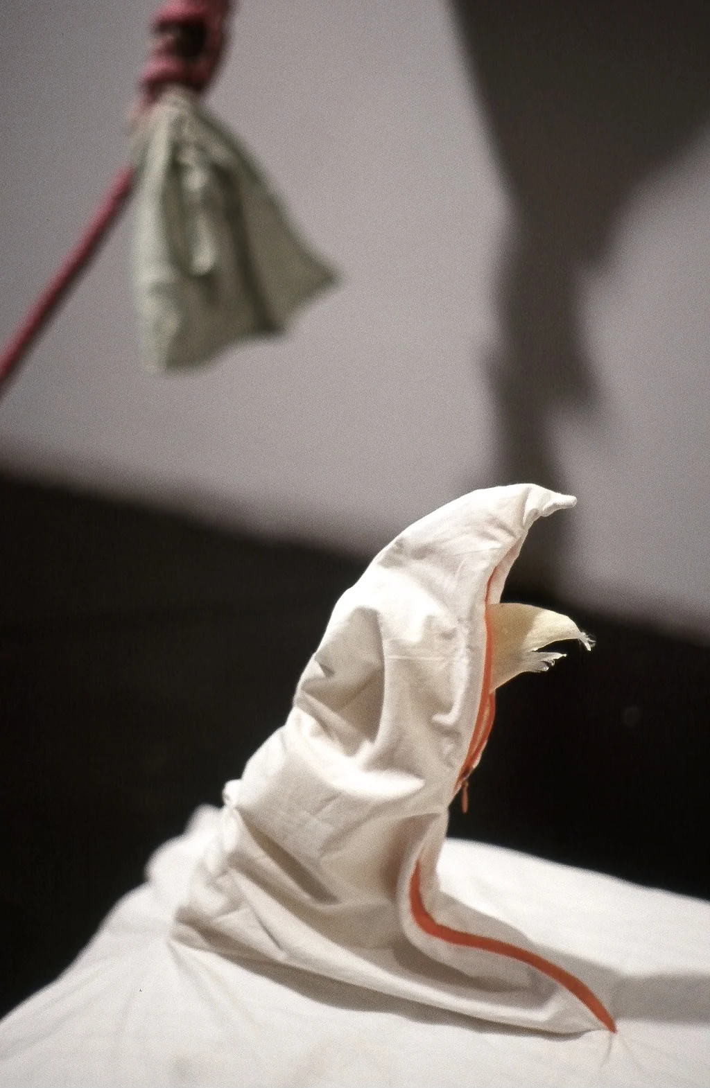   Trouble I   Sculpture detail &nbsp; &nbsp; &nbsp; &nbsp; &nbsp;2006  Bedding, zipper, shark cartilage. 
