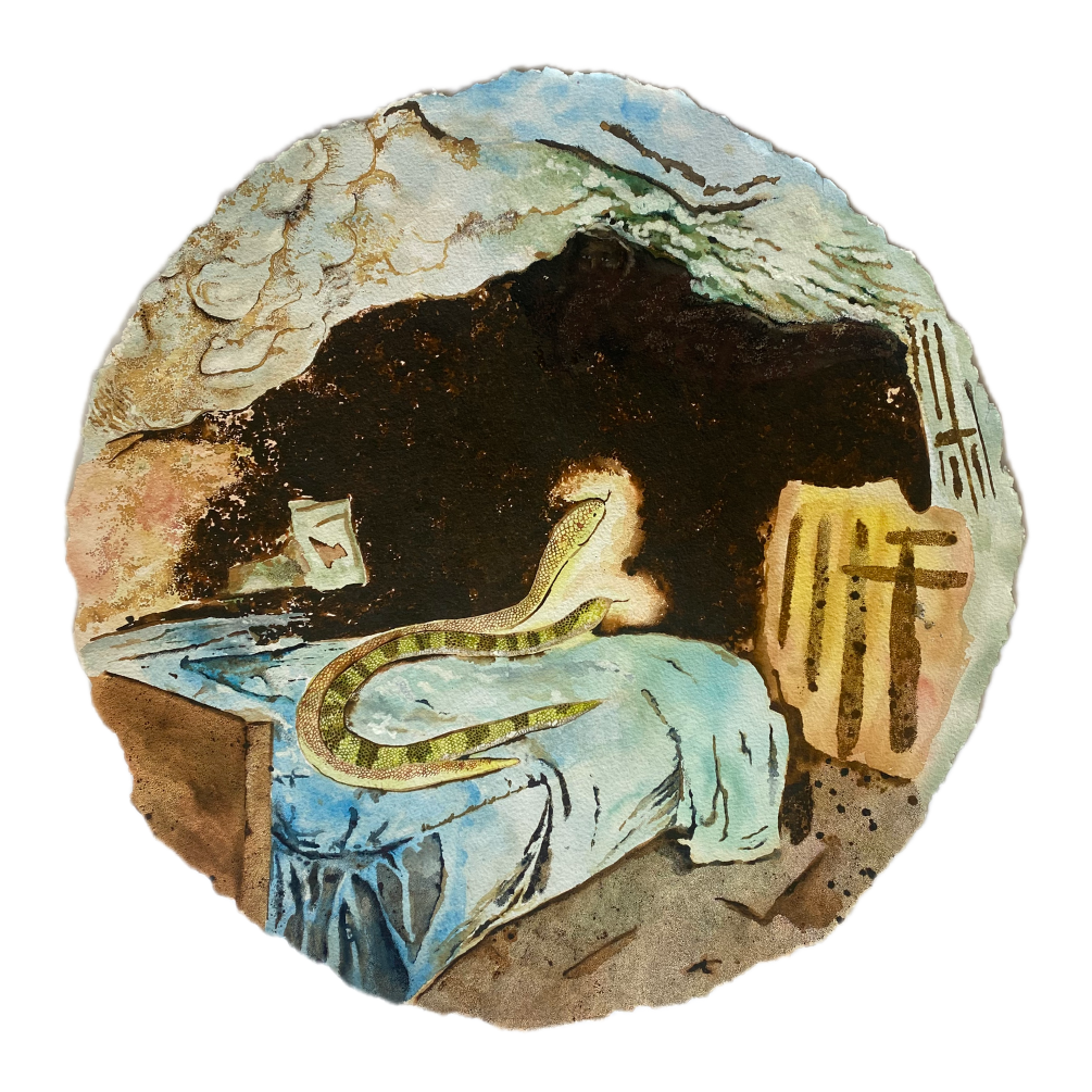  Snakes on the Bed 2024  36 x 36 inches  Ink on St. Armand paper 