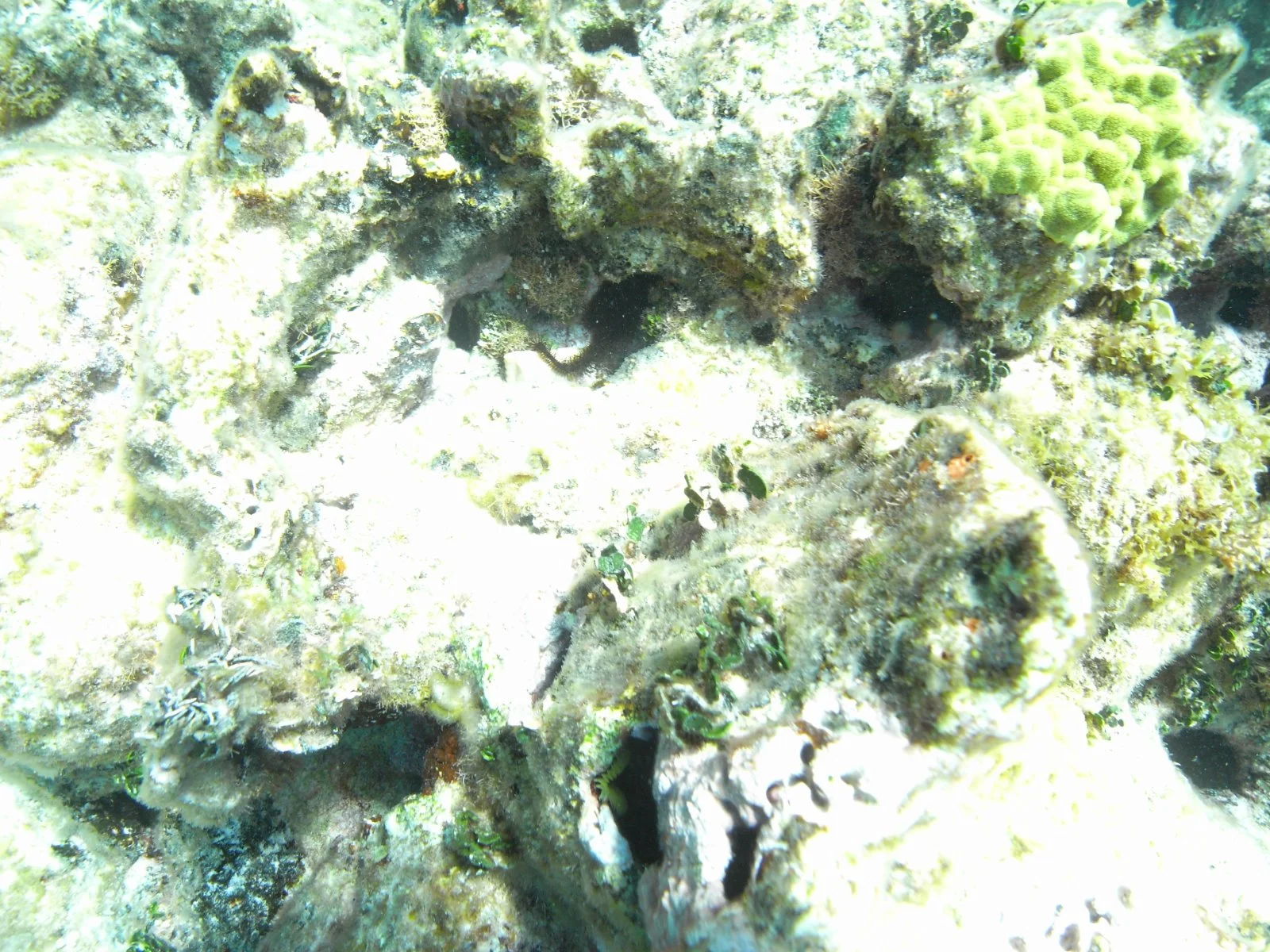 M0018112.jpg
