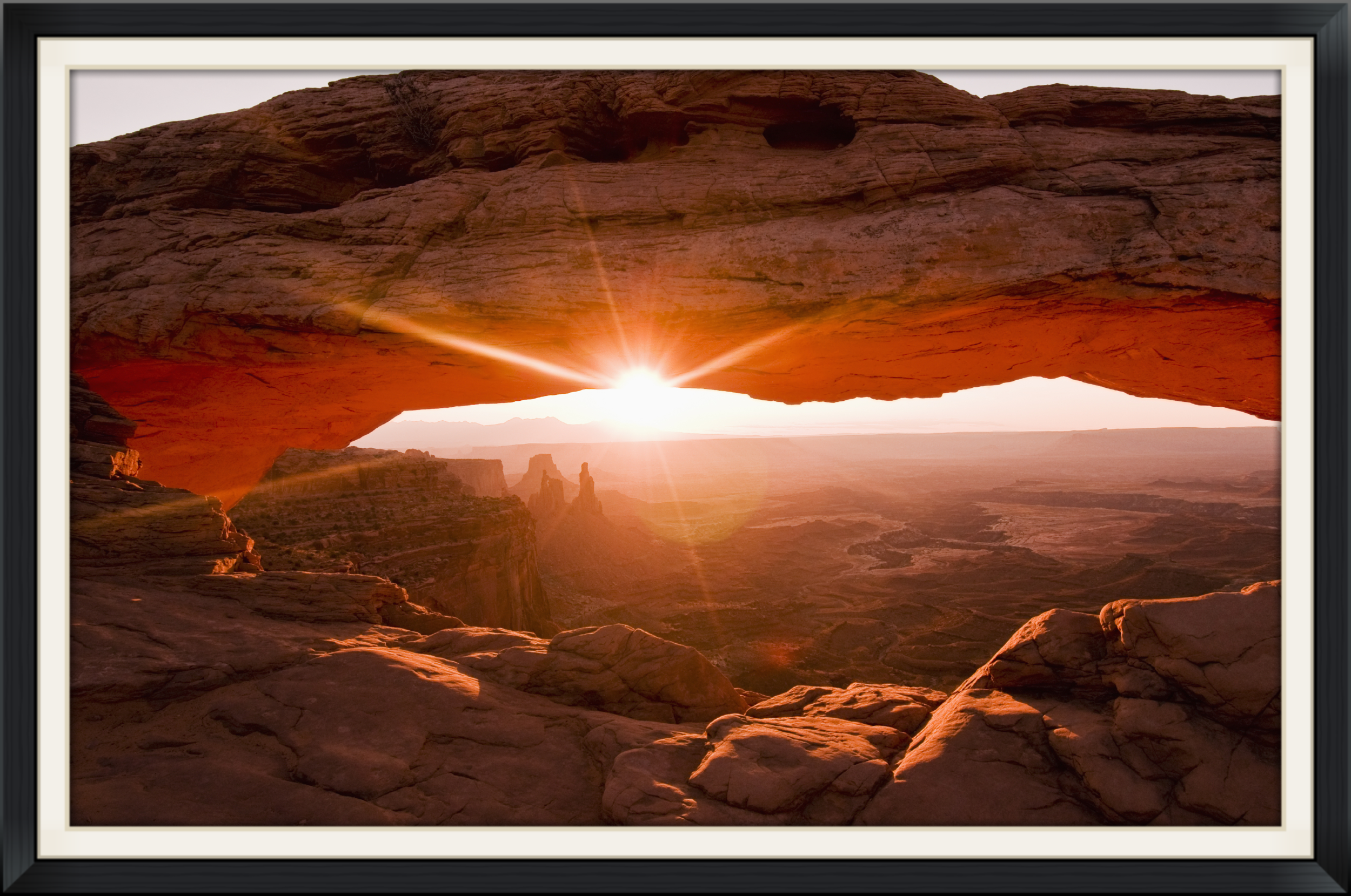 iStock_000008852713_Large.jpg