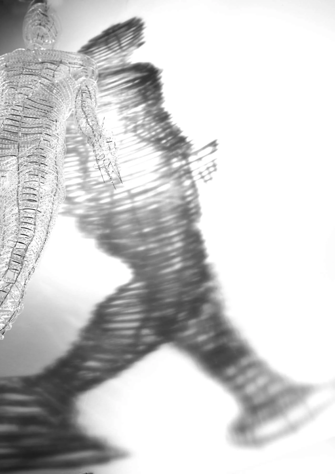 Shadow_05.jpg
