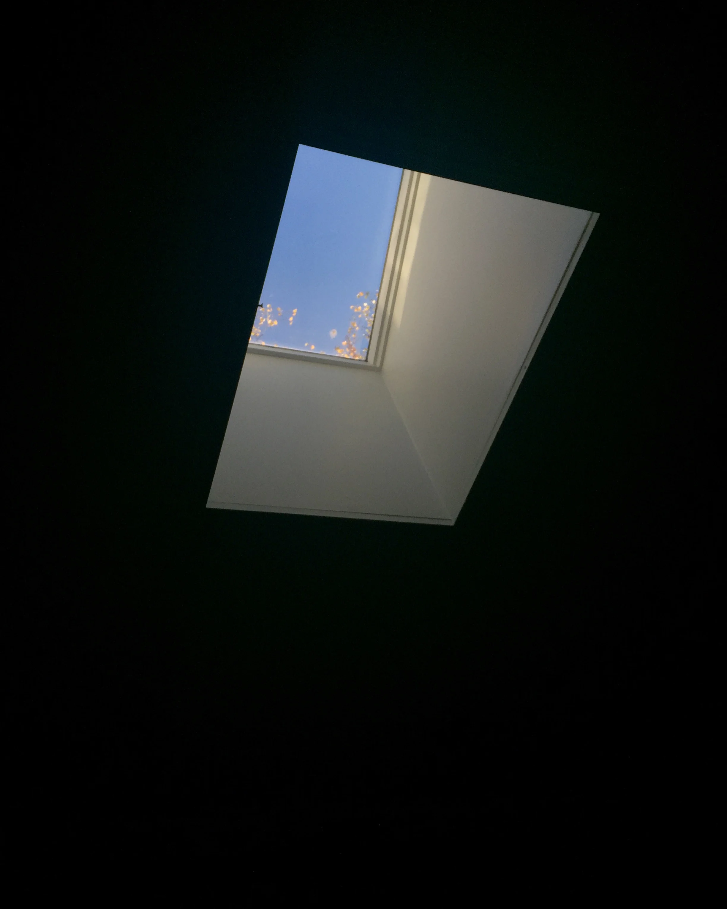 File_000 (2).jpeg