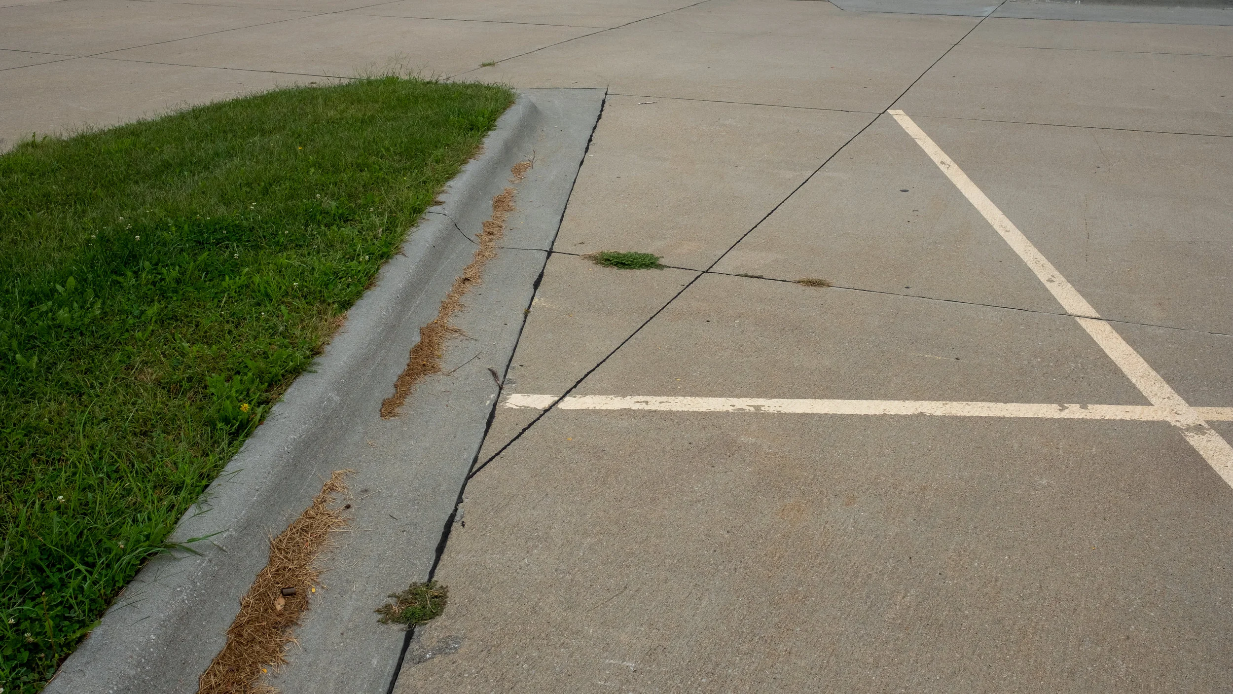 Pavement.jpg