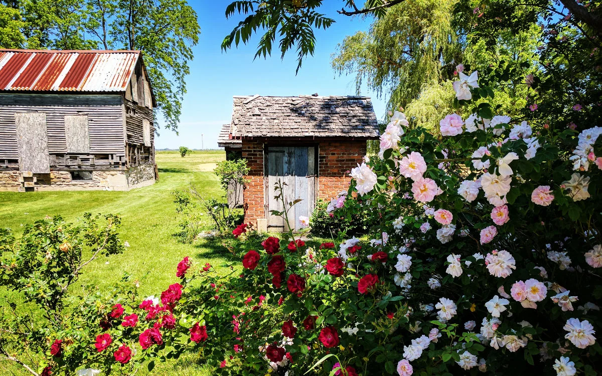 doors-open-norton-cabin.jpg