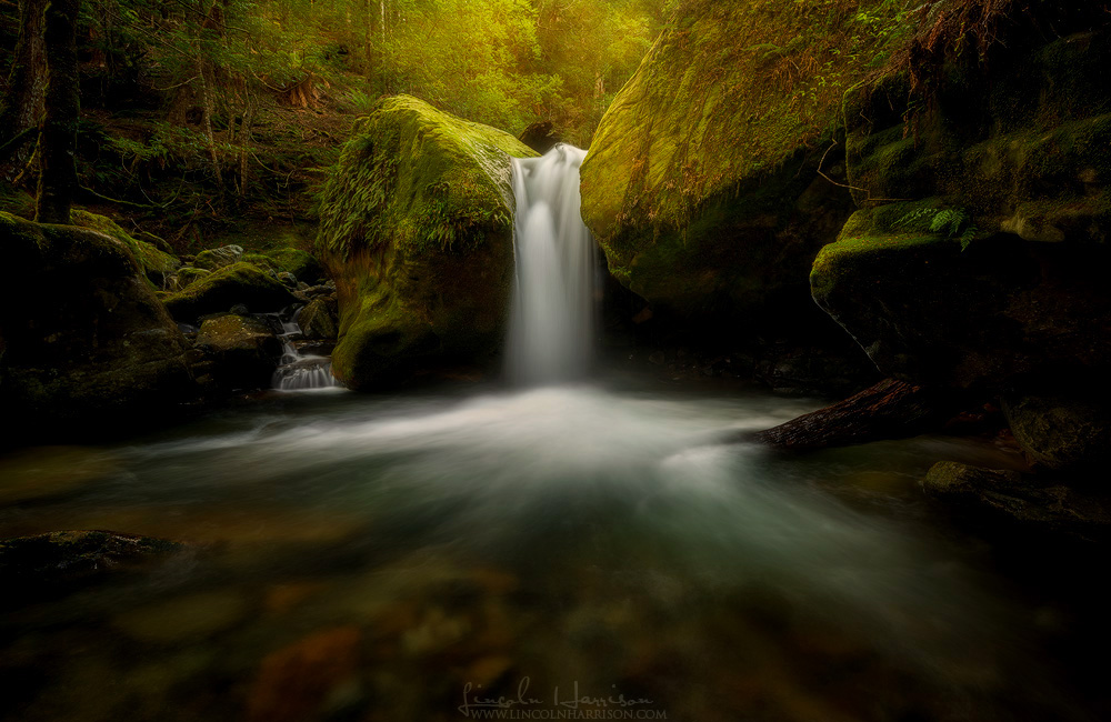 Chasm Falls, Meander Valley, Tasmania.