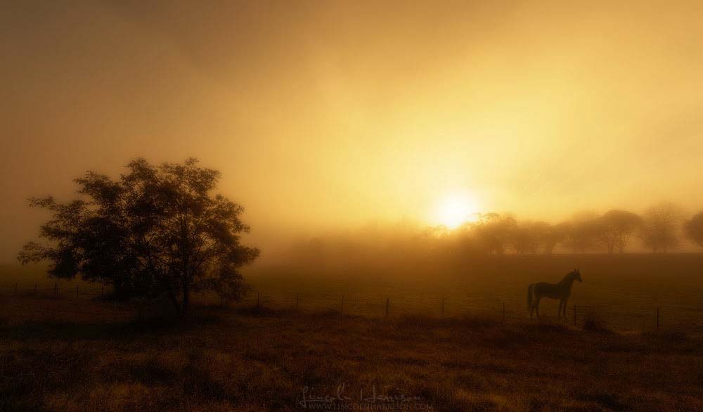 Mt Buffalo Sunrise