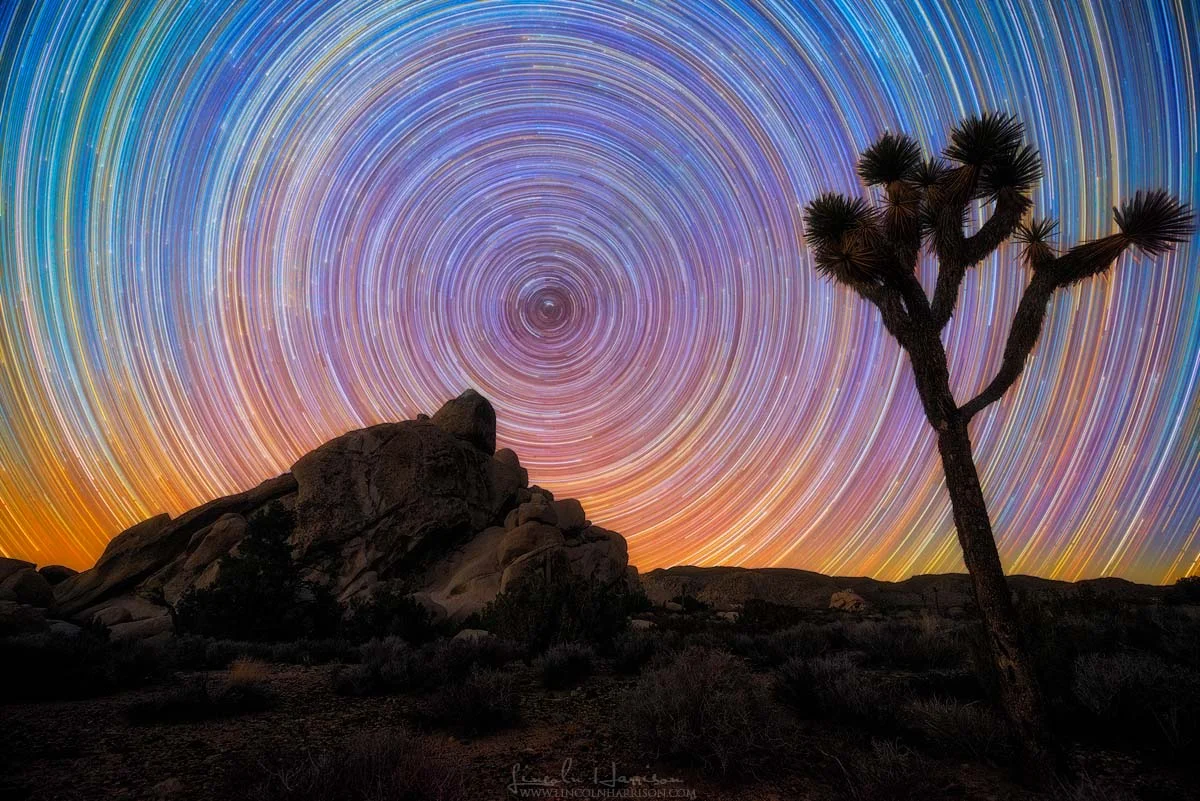 Joshua Tree Startrails
