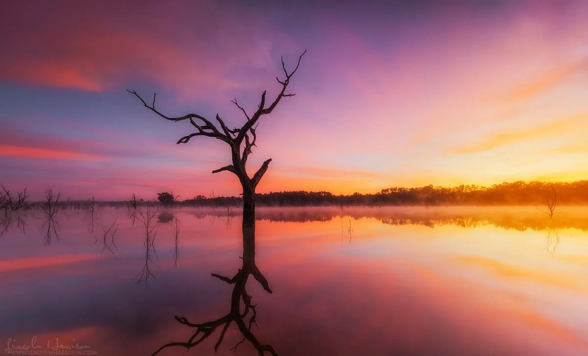 Mt Ida Creek Sunrise