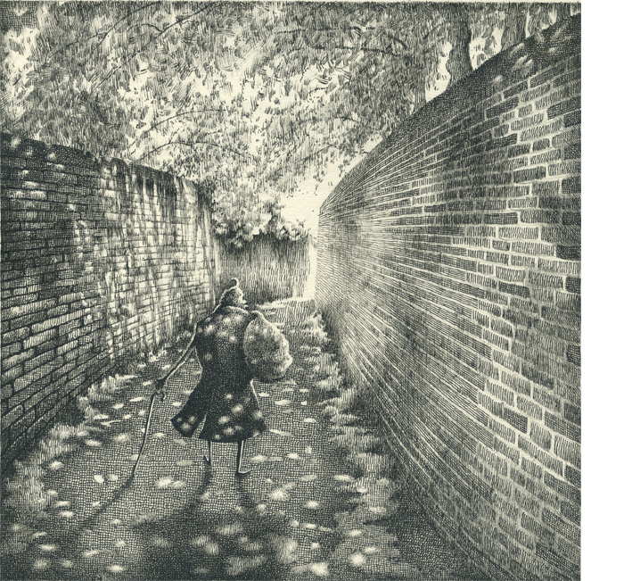 Salt's perambulation