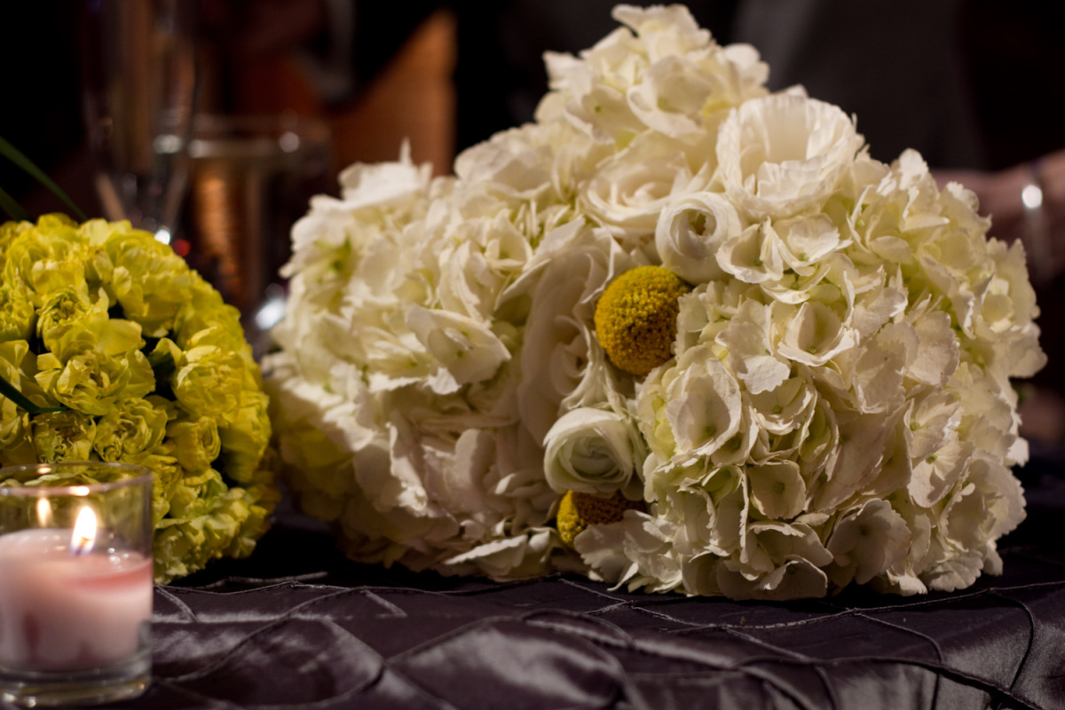 20110327_7d_gnt_1586.jpg