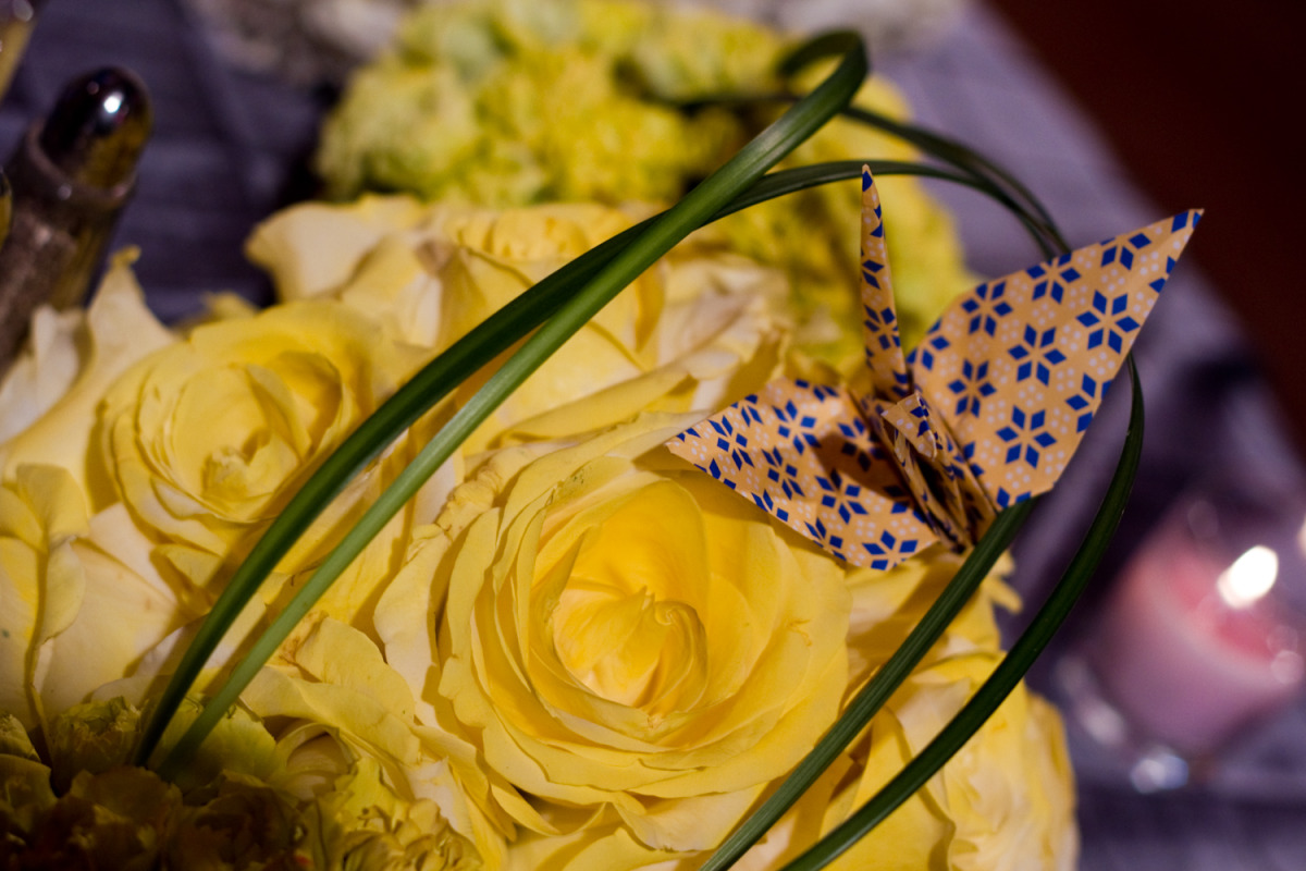 20110327_7d_gnt_1581.jpg