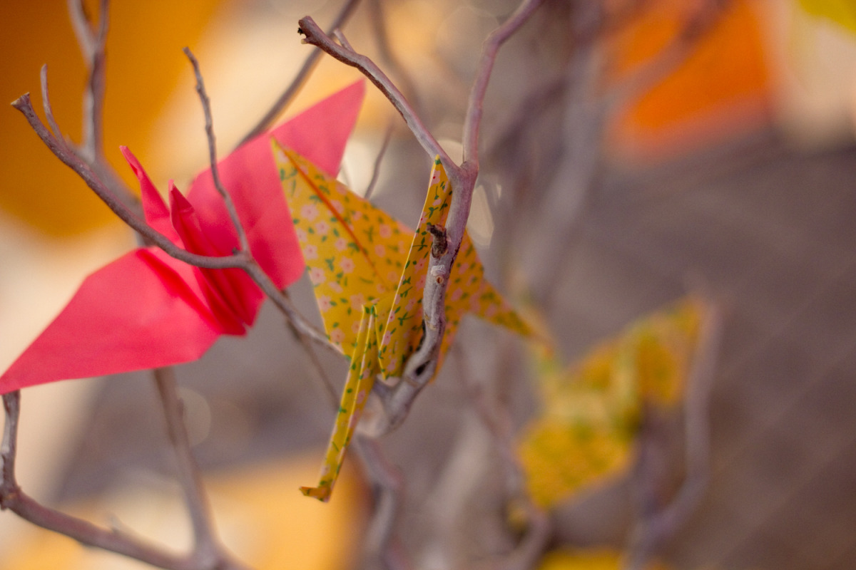 20110327_7d_gnt_1541.jpg