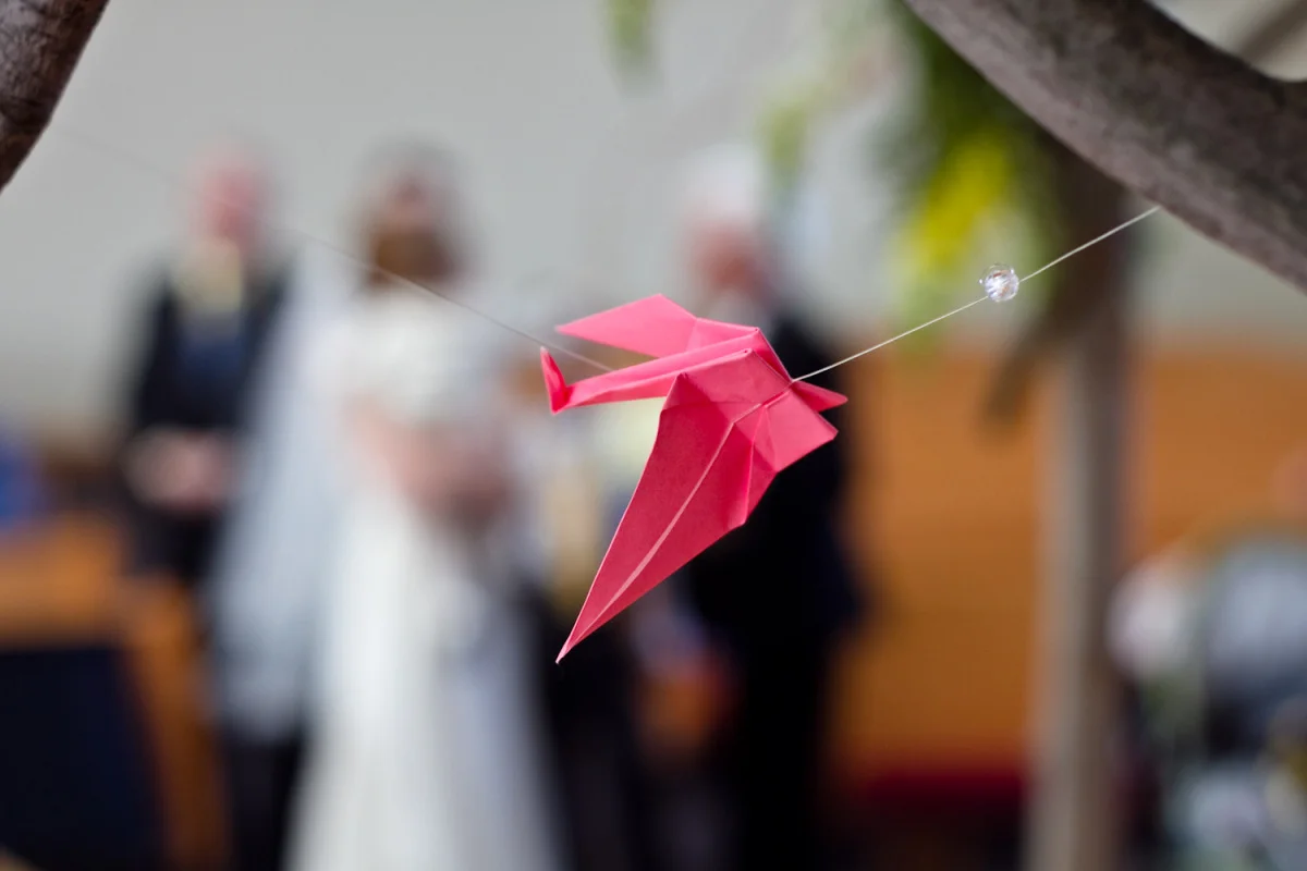 20110327_7d_gnt_1220.jpg