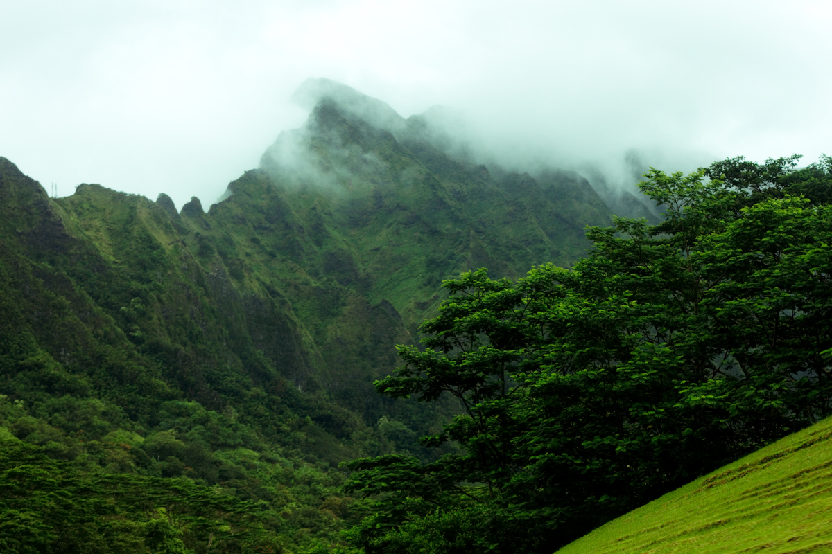 20110526_7D_GNT_3644.jpg